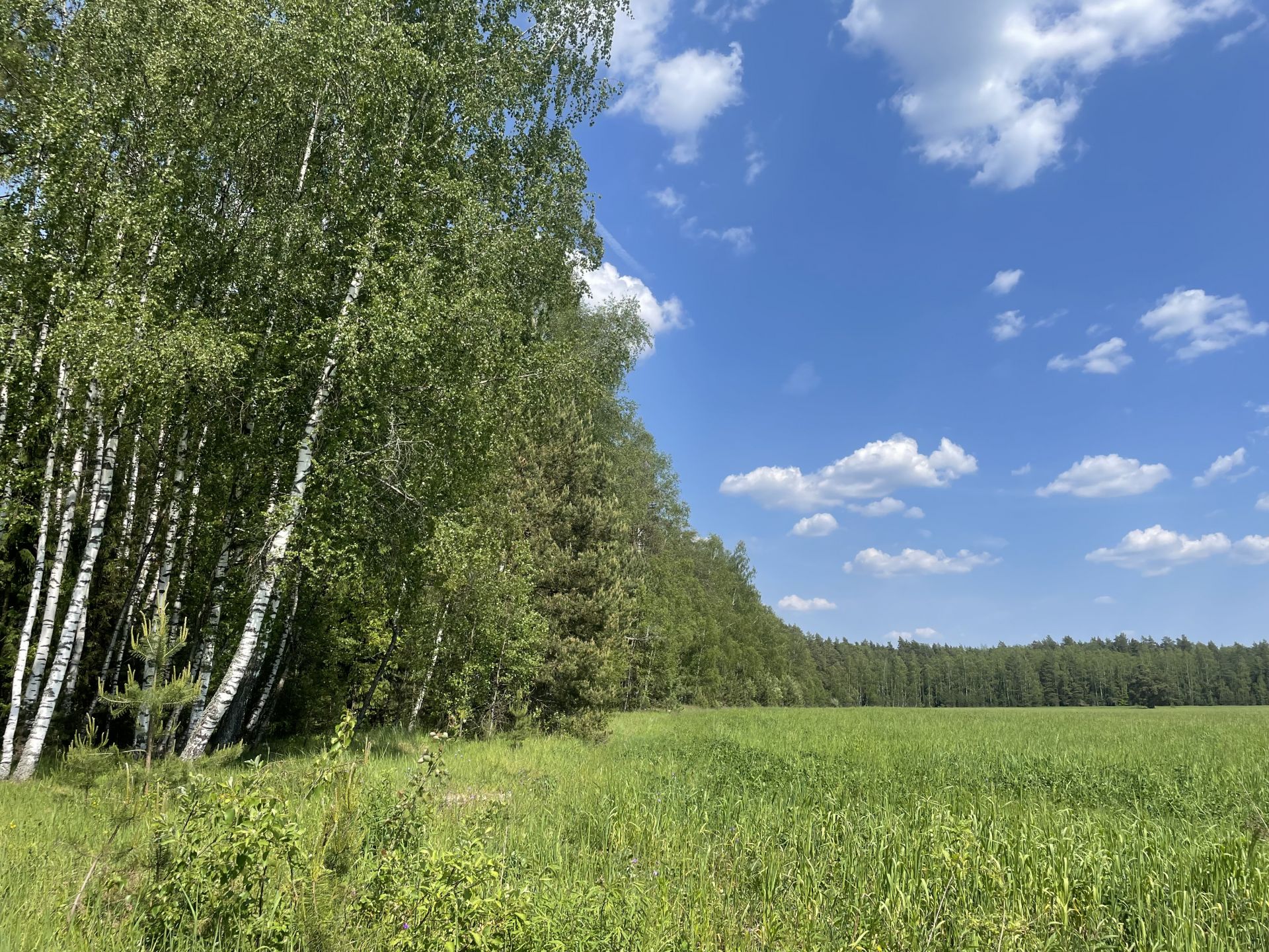 Земли поселения Московская область, городской округ Лосино-Петровский, деревня  Кармолино – агентство недвижимости «Азбука недвижимости» Москва и МО