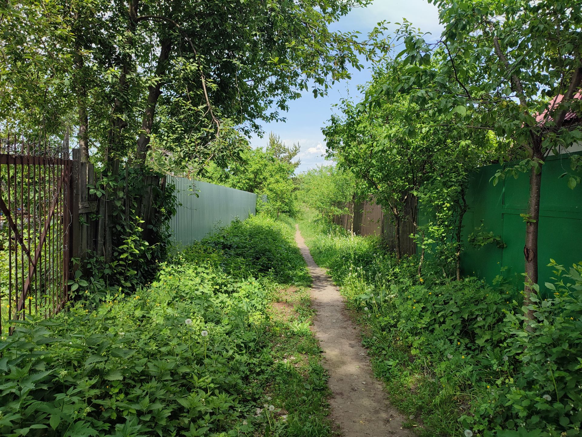 Земли поселения Московская область, городской округ Люберцы, деревня Торбеево, ПЖСК Нива, 20