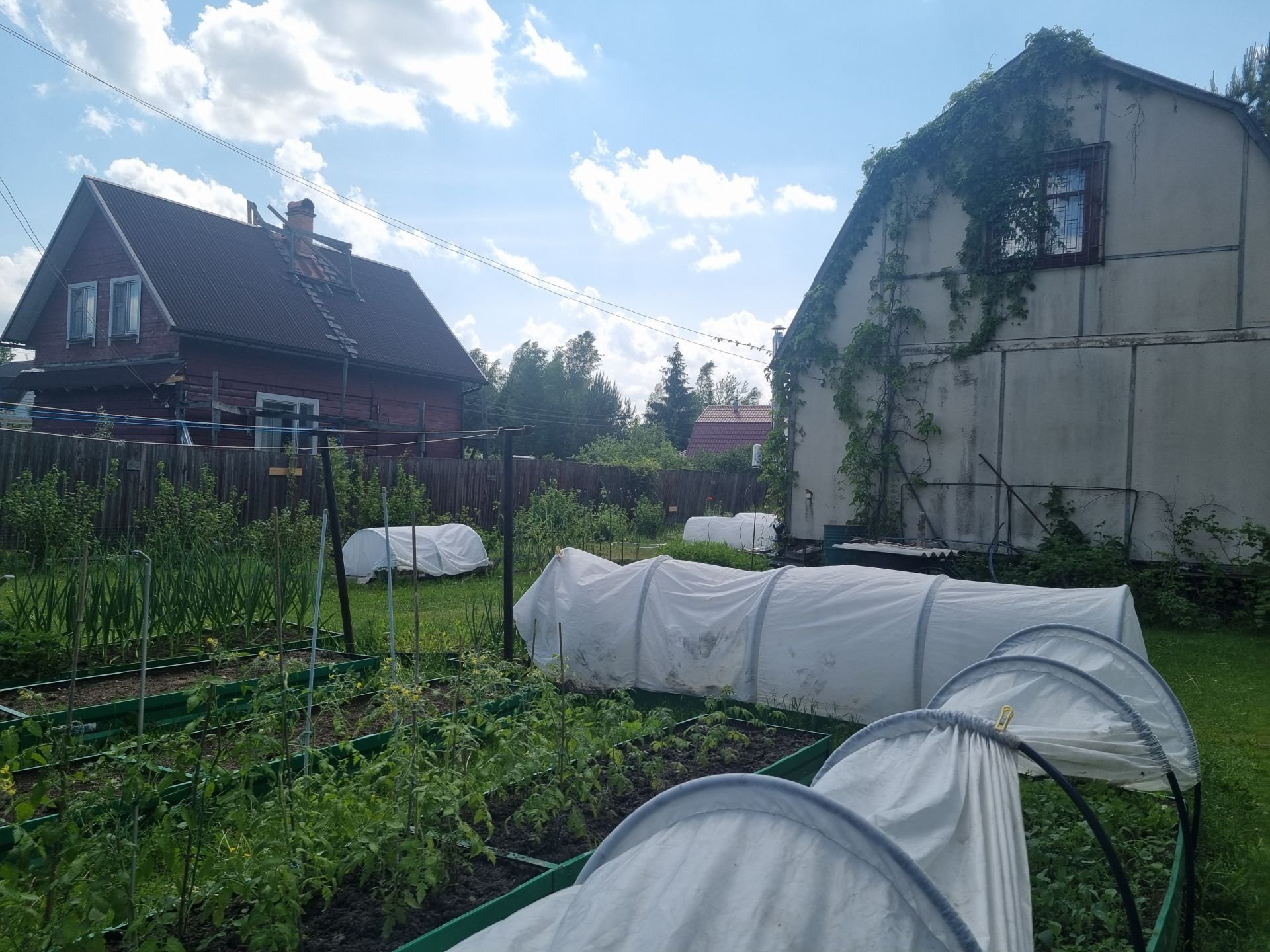 Дача Московская область, Рузский городской округ, СНТ Совфрахтовец