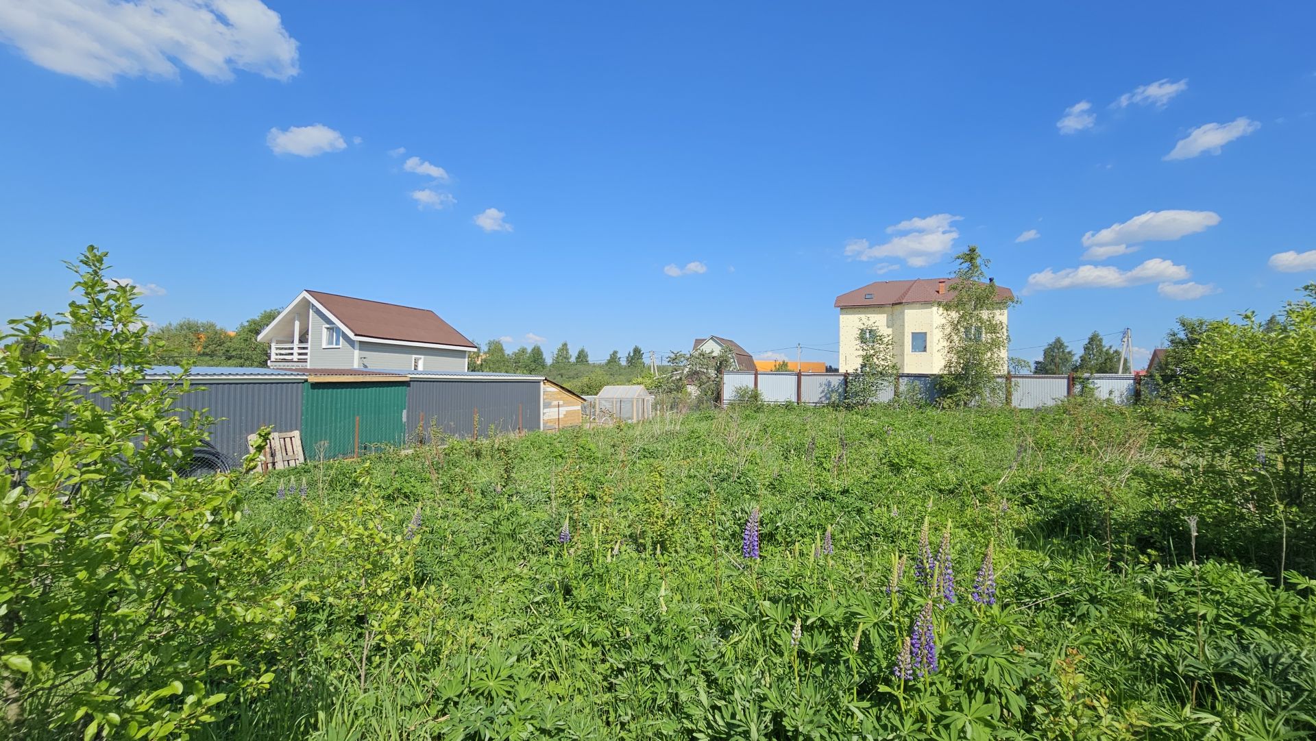 Земли поселения Московская область, городской округ Солнечногорск, СНТ Радумля