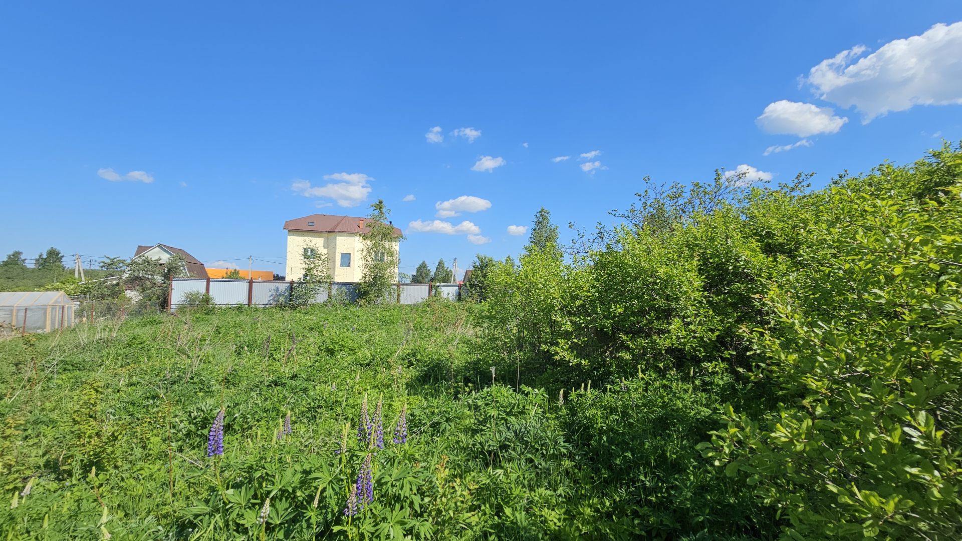 Земли поселения Московская область, городской округ Солнечногорск, СНТ Радумля