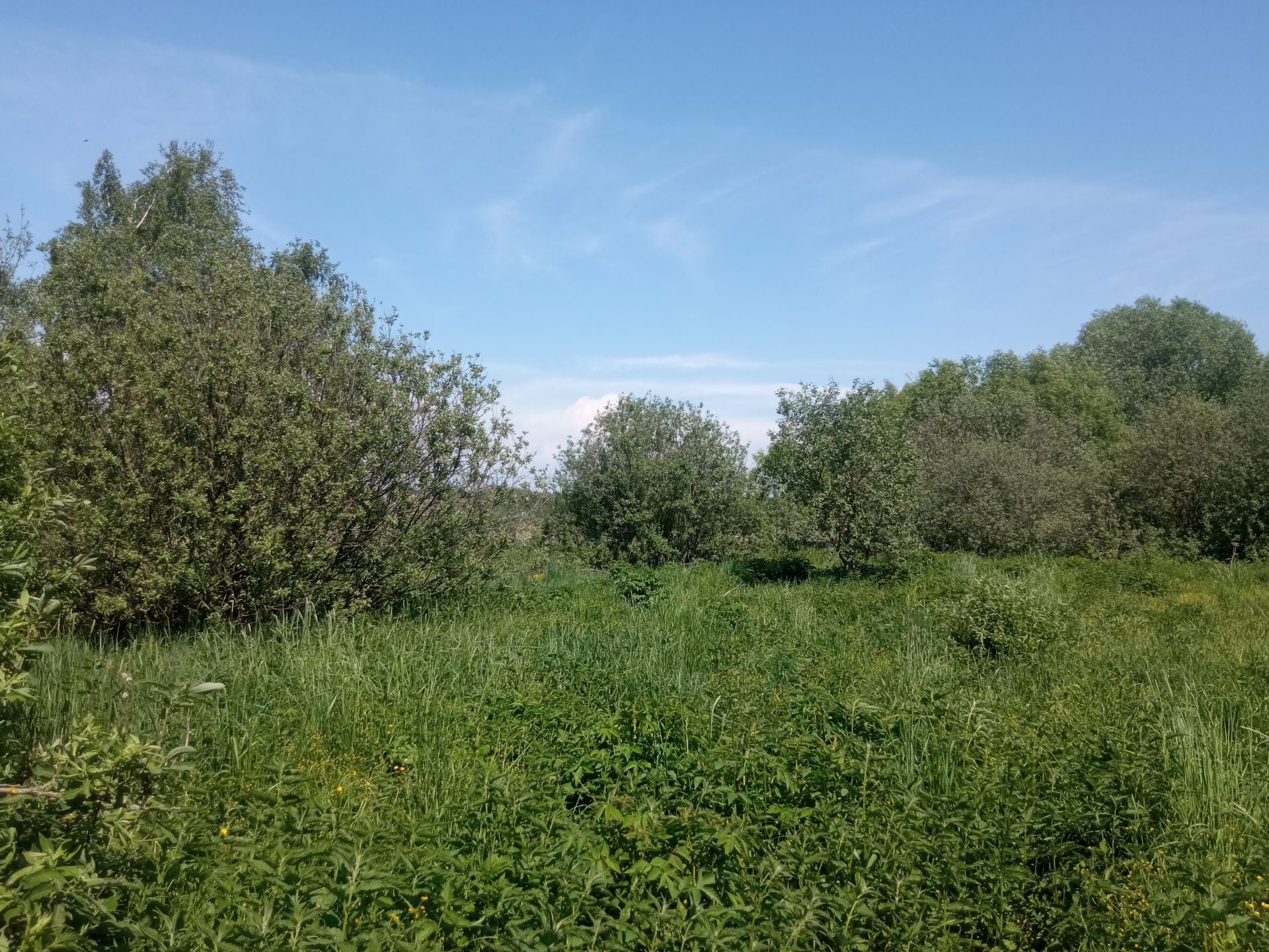 Земли поселения Московская область, городской округ Балашиха, деревня Полтево