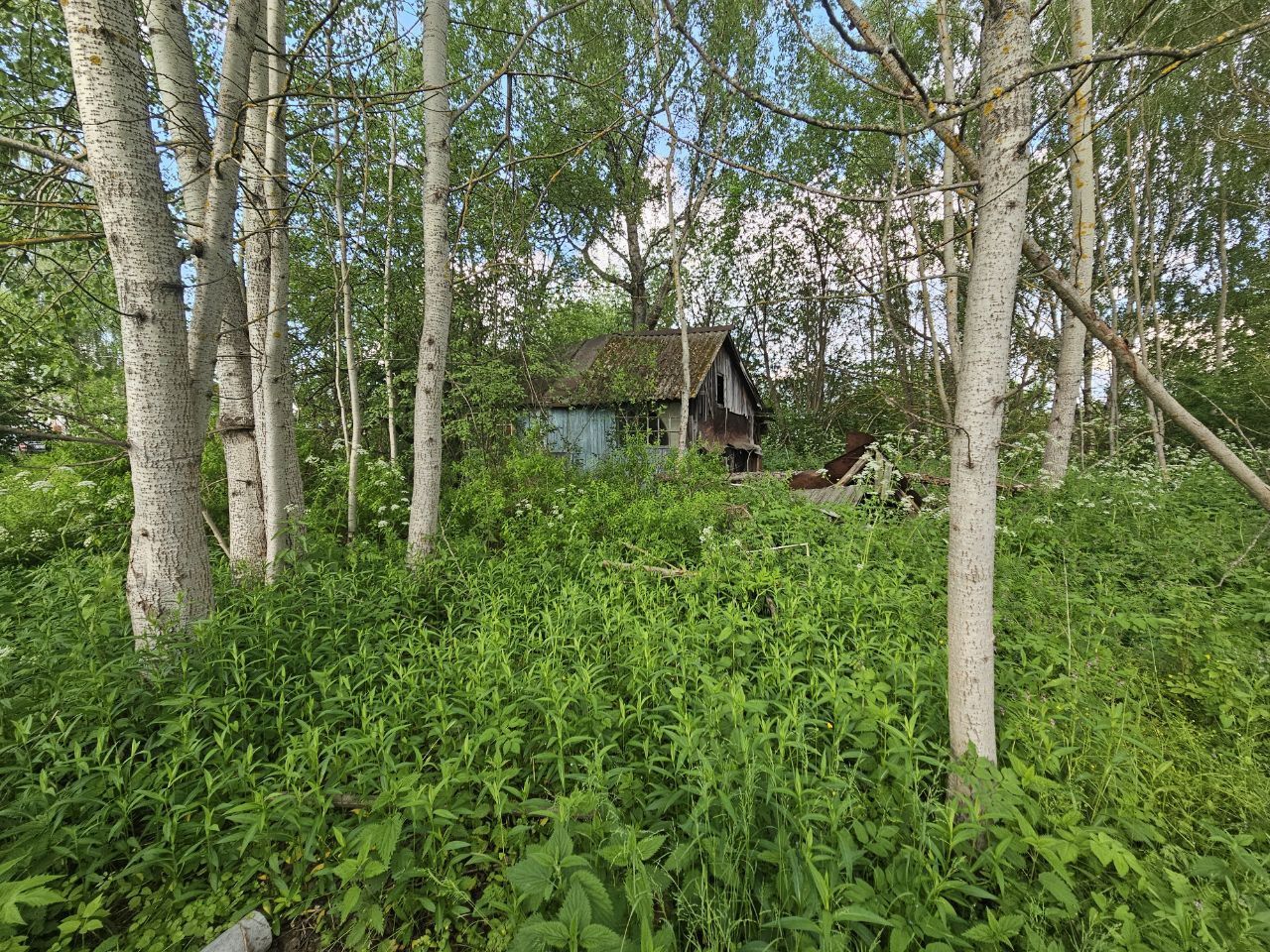 Земли поселения Московская область, Богородский городской округ, деревня Тимково, Советская улица