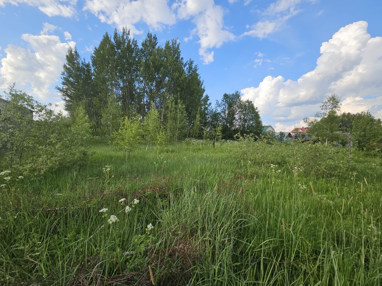 Земли поселения Московская область, Богородский городской округ, деревня Тимково, Советская улица