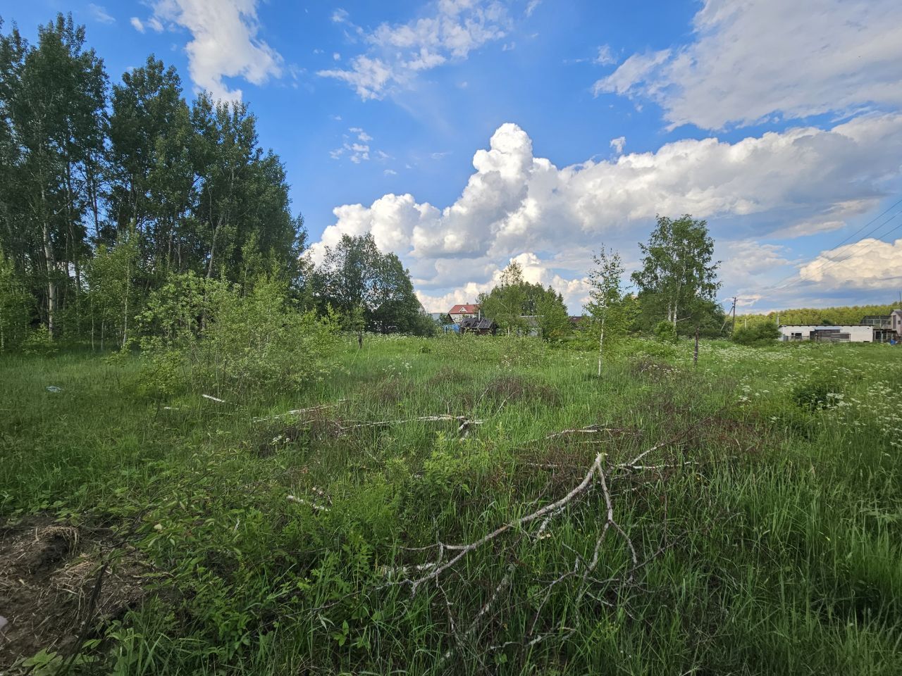 Земли поселения Московская область, Богородский городской округ, деревня Тимково, Советская улица