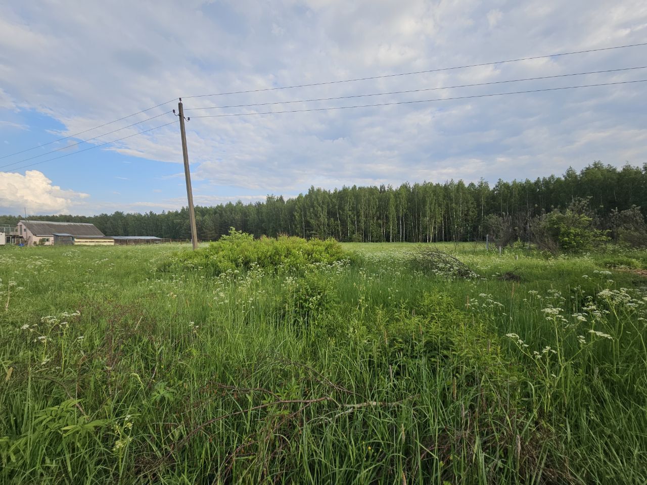 Земли поселения Московская область, Богородский городской округ, деревня Тимково, Советская улица