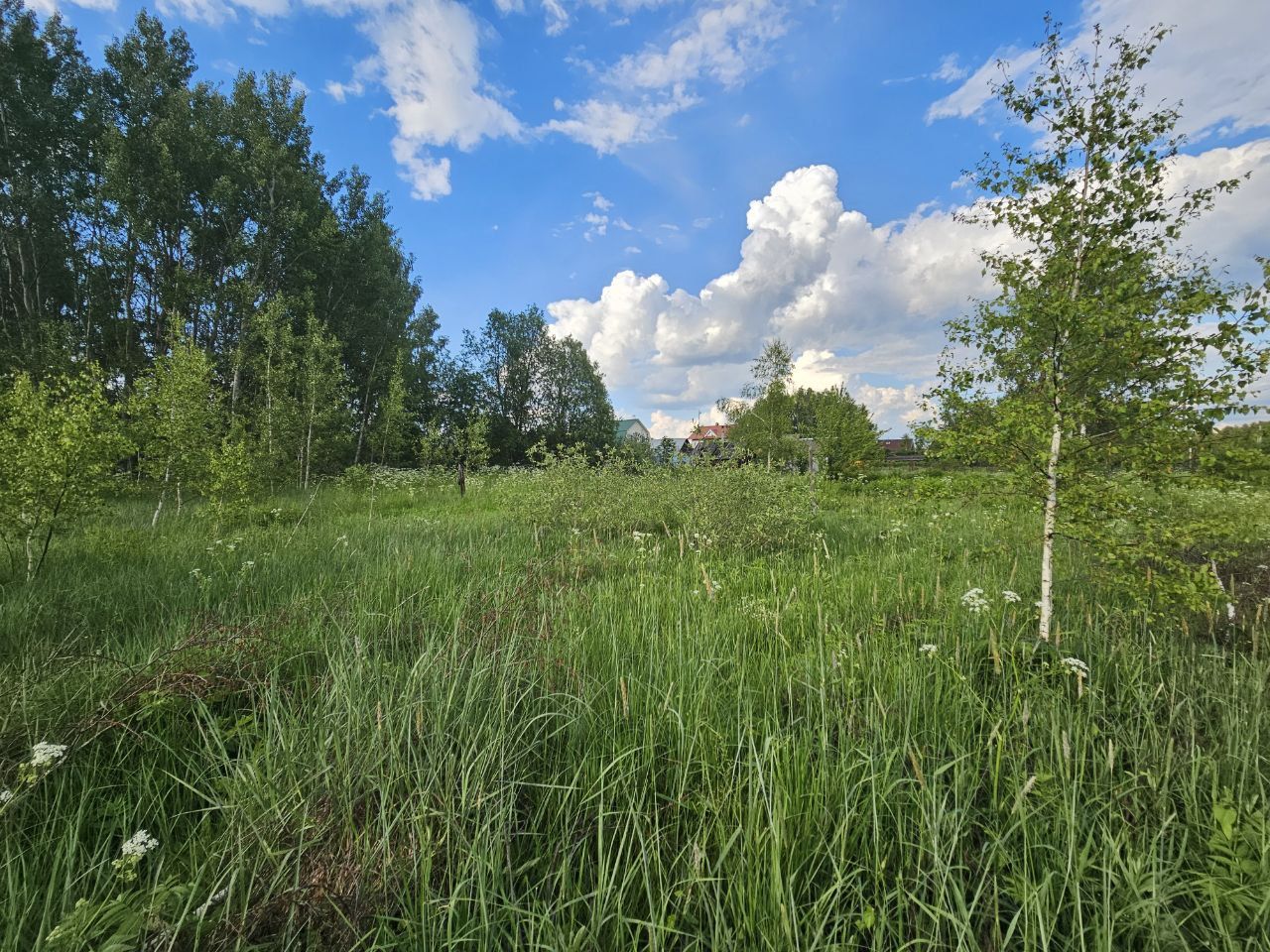 Земли поселения Московская область, Богородский городской округ, деревня Тимково, Советская улица