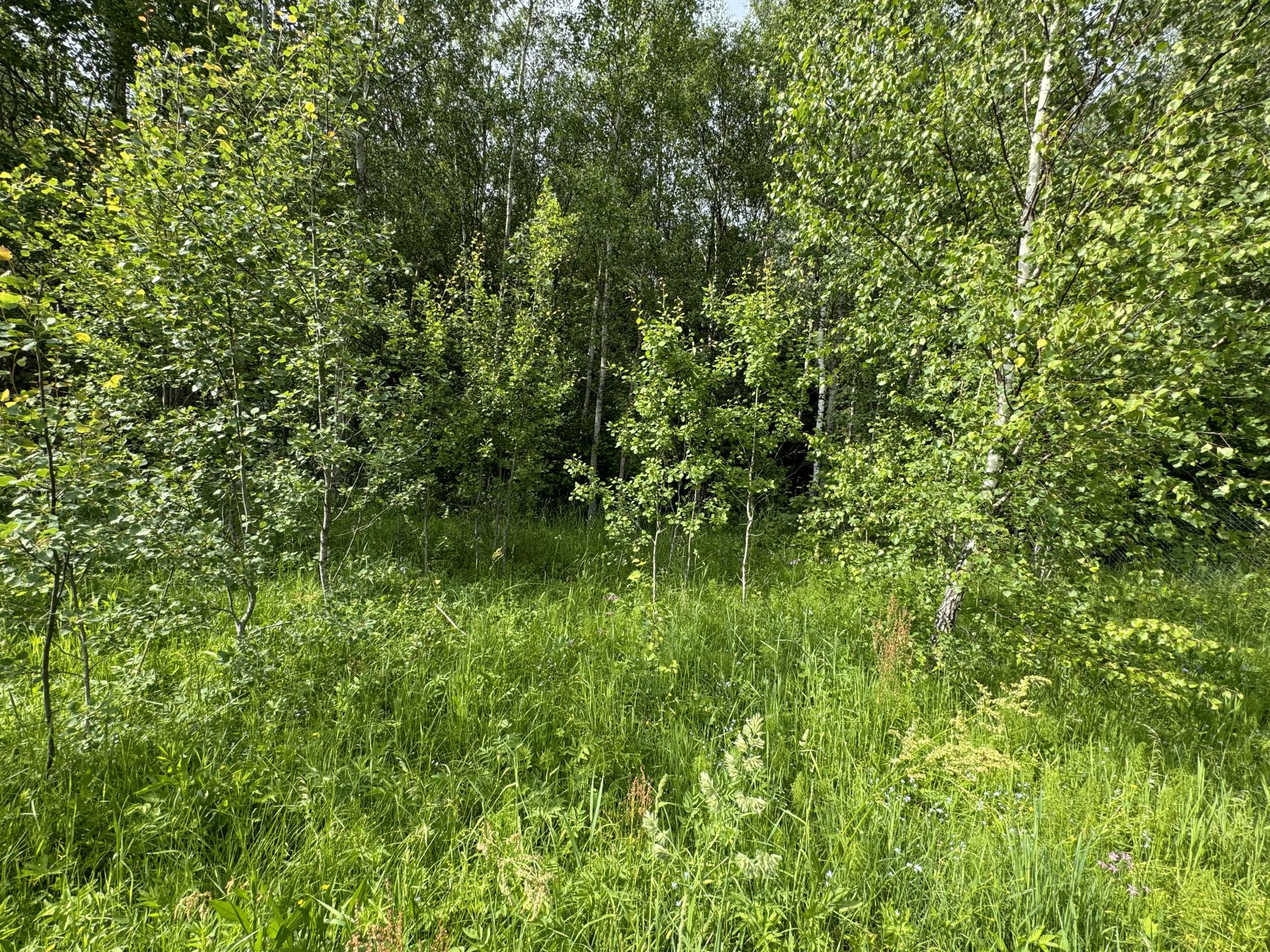 Земли поселения Московская область, Одинцовский городской округ, коттеджный посёлок Западная Усадьба