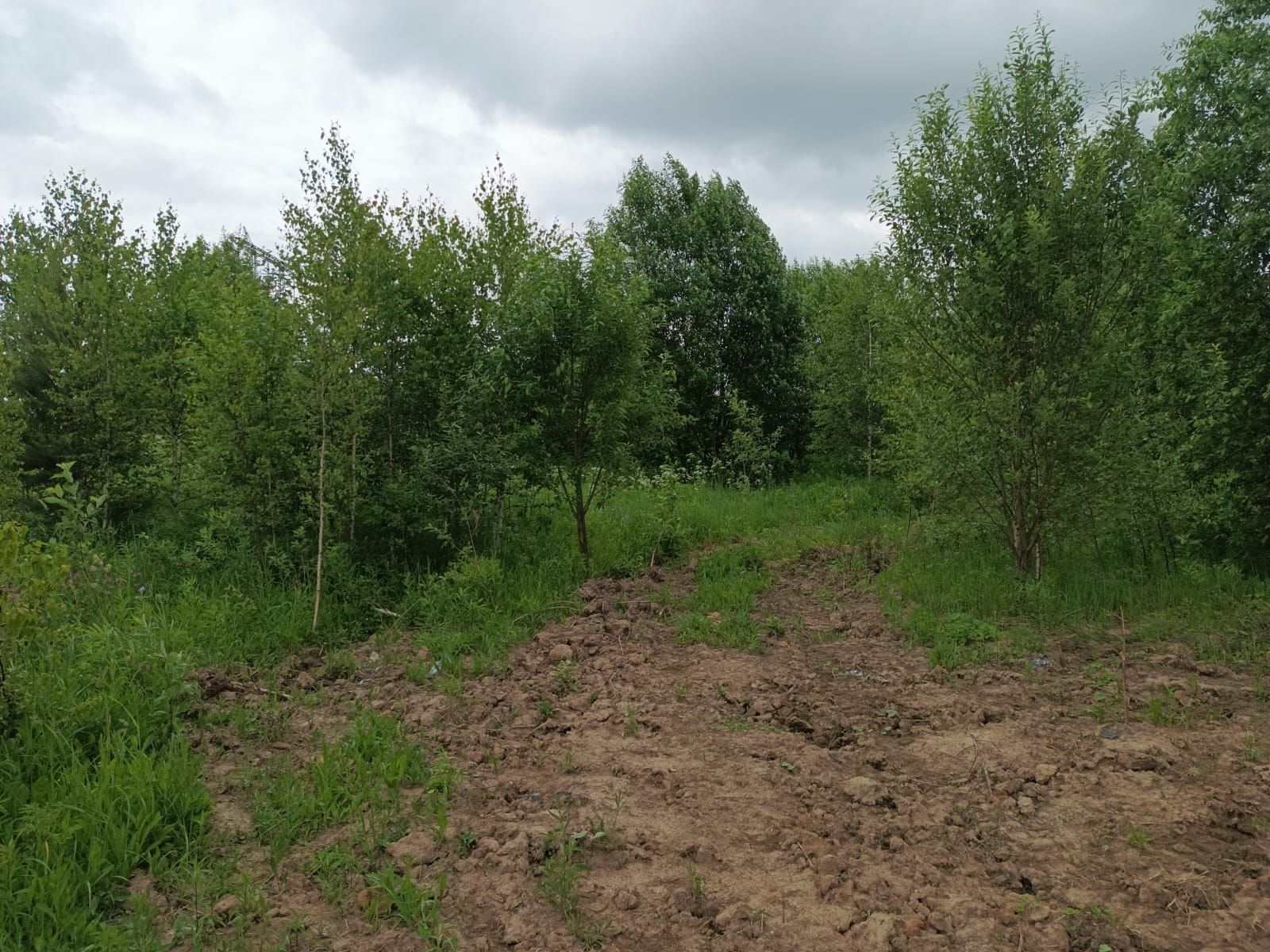 Земли сельхозназначения Московская область, городской округ Химки, микрорайон Ксенон, ТСН Кутузовское-1