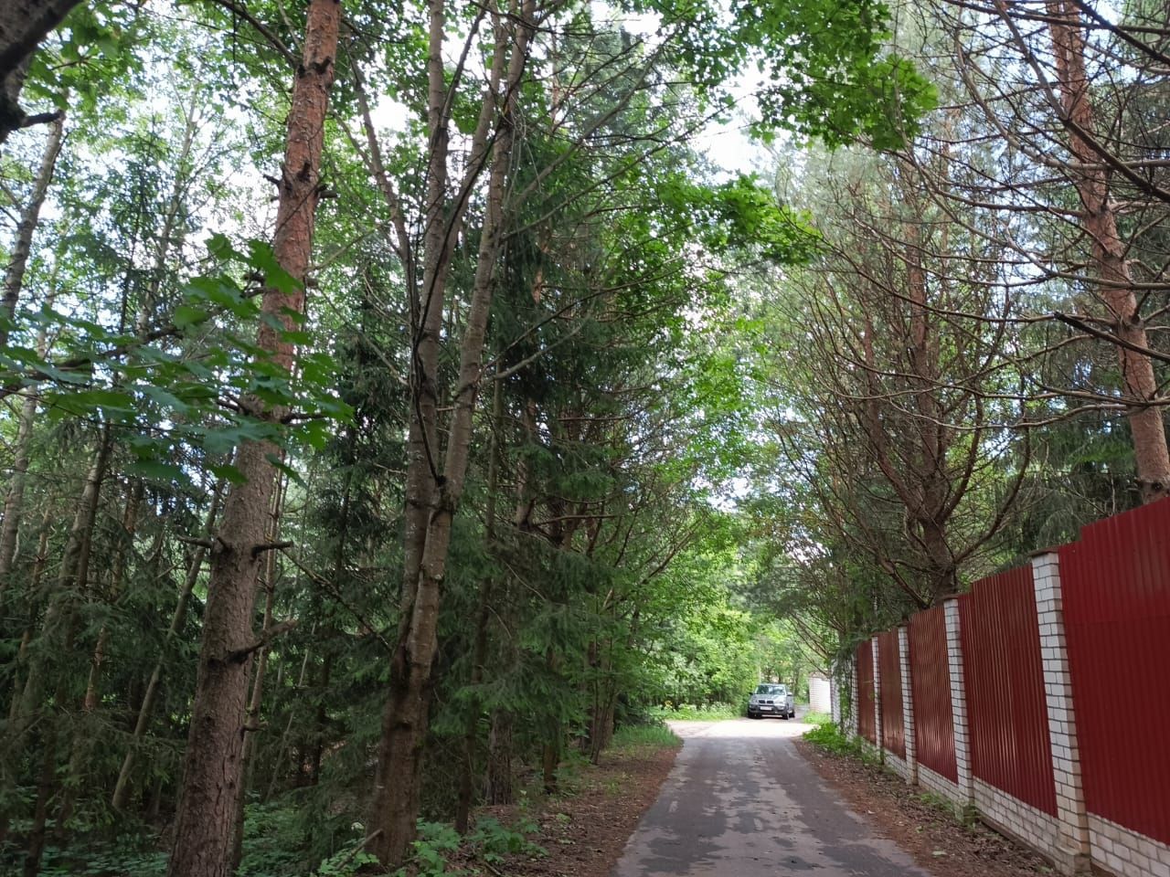 Земли поселения Московская область, городской округ Химки, деревня Рузино