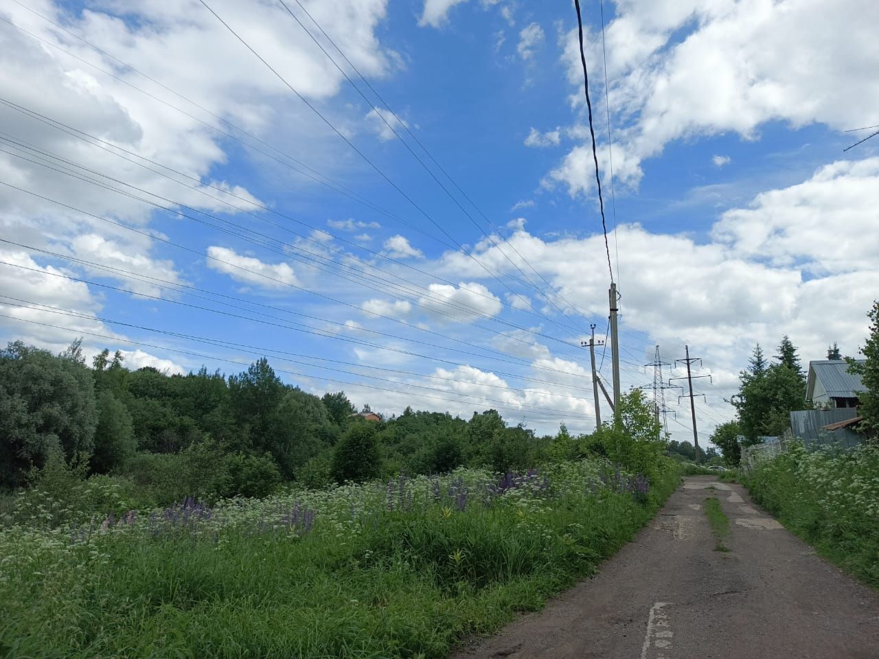 Земли поселения Московская область, городской округ Химки, деревня Рузино