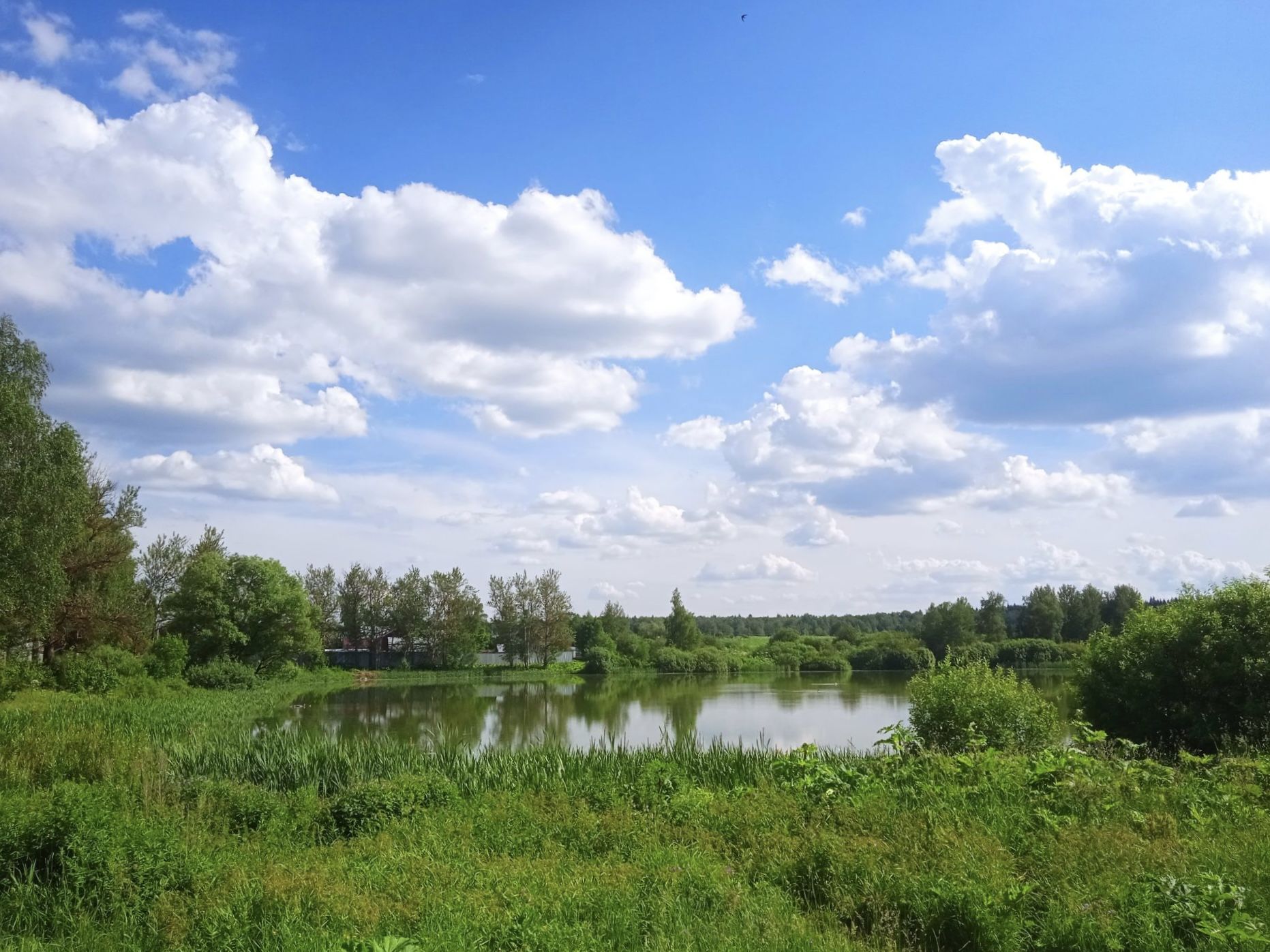 Земли сельхозназначения Московская область, городской округ Солнечногорск, деревня Чашниково