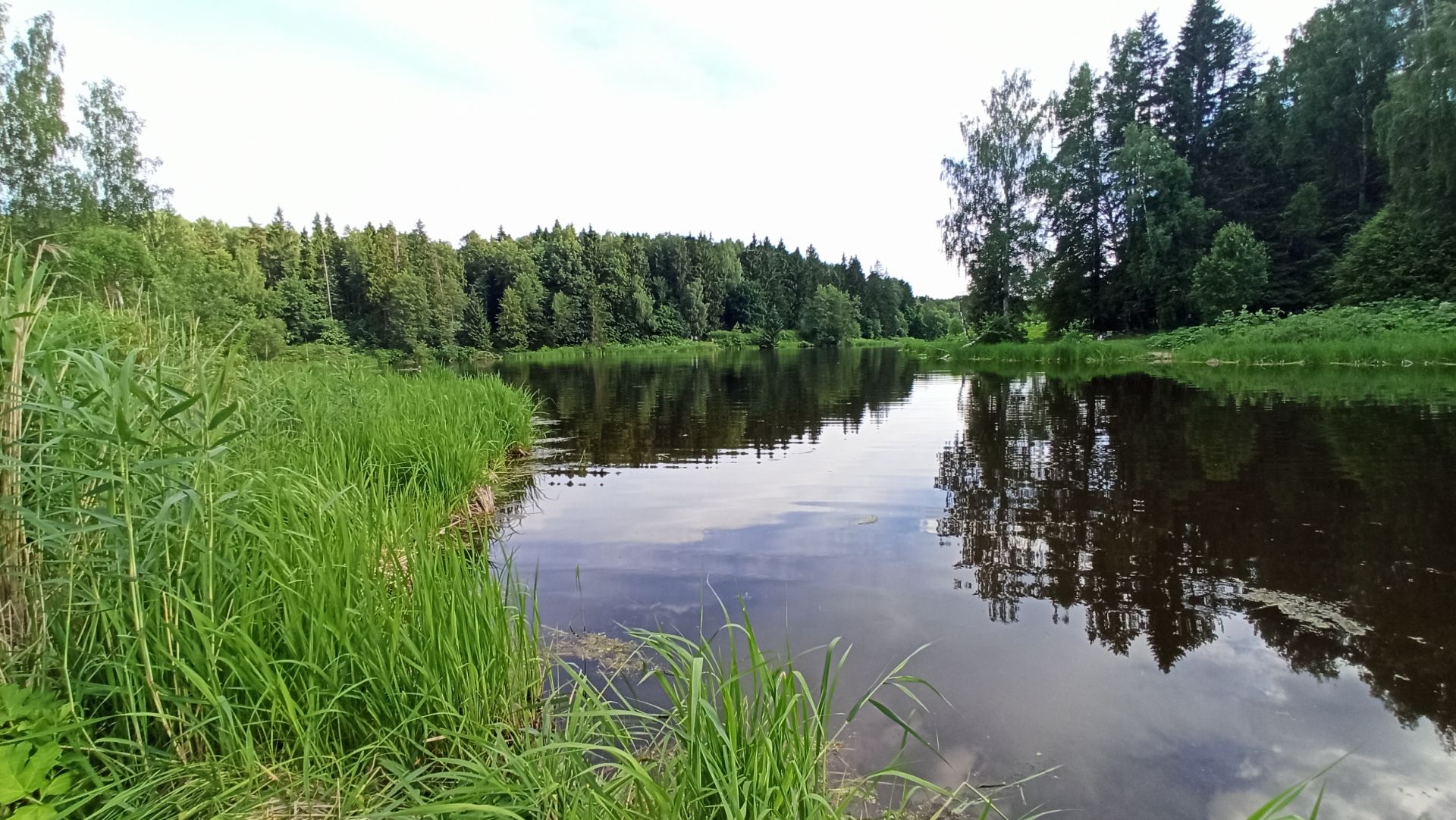 Земли поселения Московская область, городской округ Пушкинский, деревня Степаньково, Лесная улица