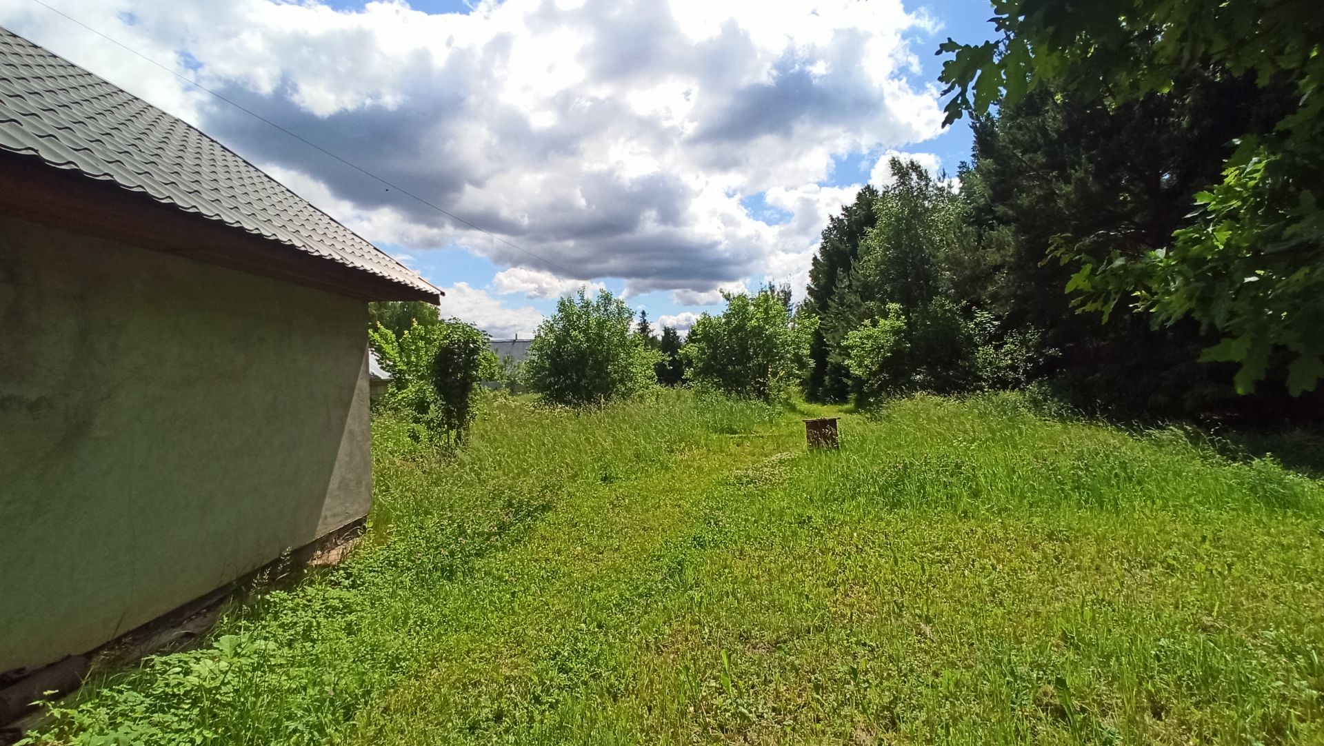 Земли поселения Московская область, городской округ Пушкинский, деревня Степаньково, Лесная улица