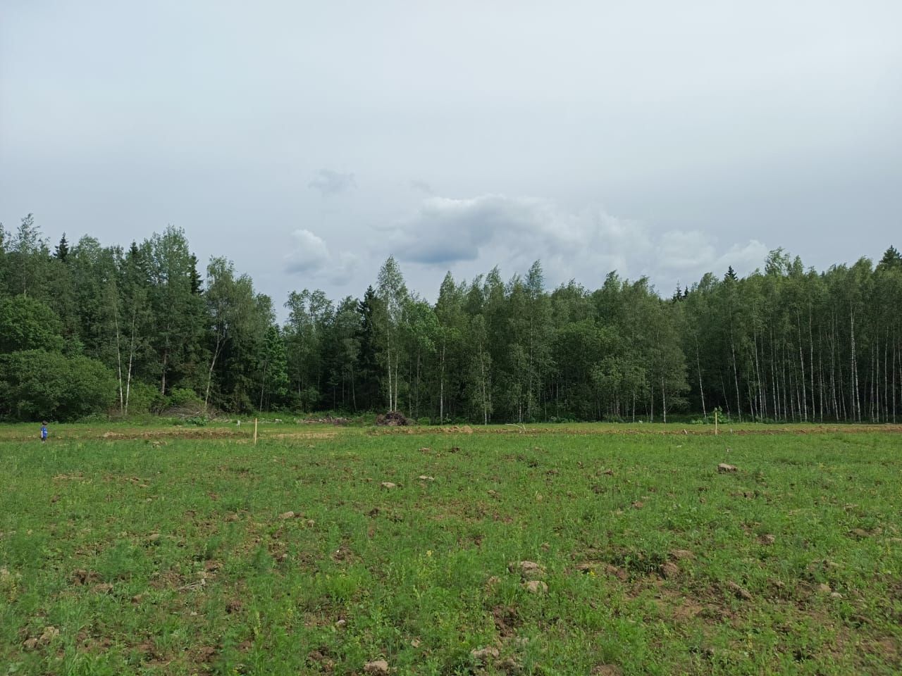 Земли поселения Московская область, городской округ Химки, деревня Брёхово, микрорайон Большое Брёхово