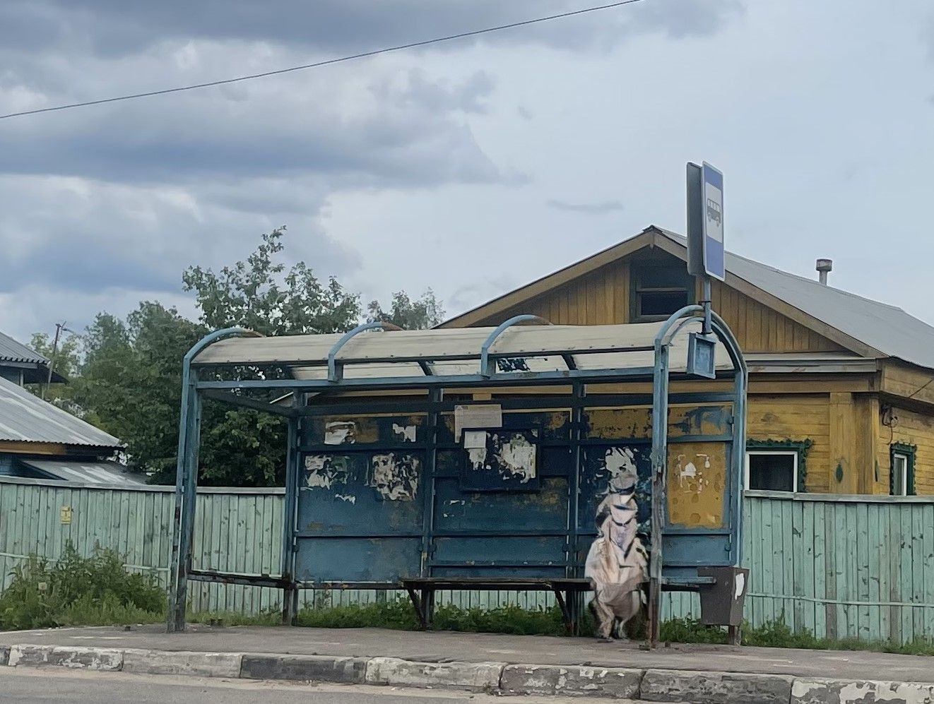 Земли поселения Московская область, городской округ Щёлково, село Трубино