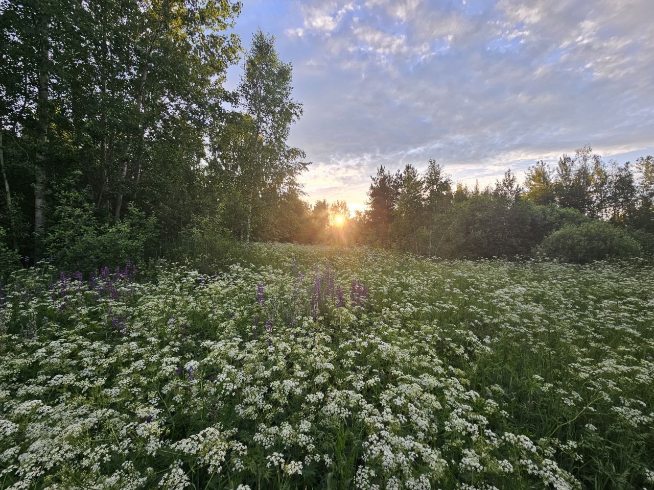 Земли поселения Московская область, Богородский городской округ, деревня Карабаново