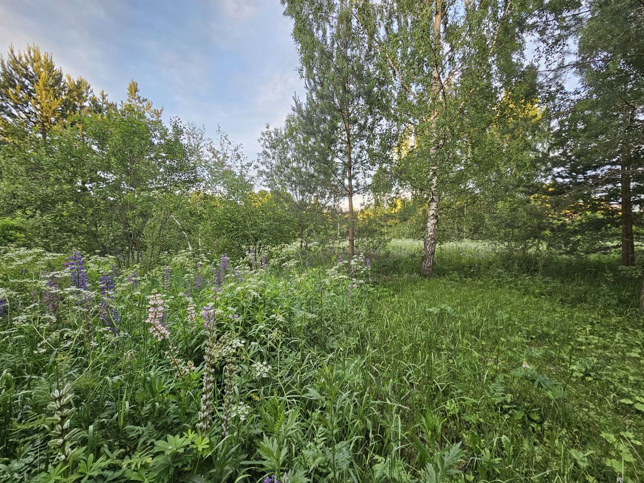 Земли поселения Московская область, Богородский городской округ, деревня Карабаново