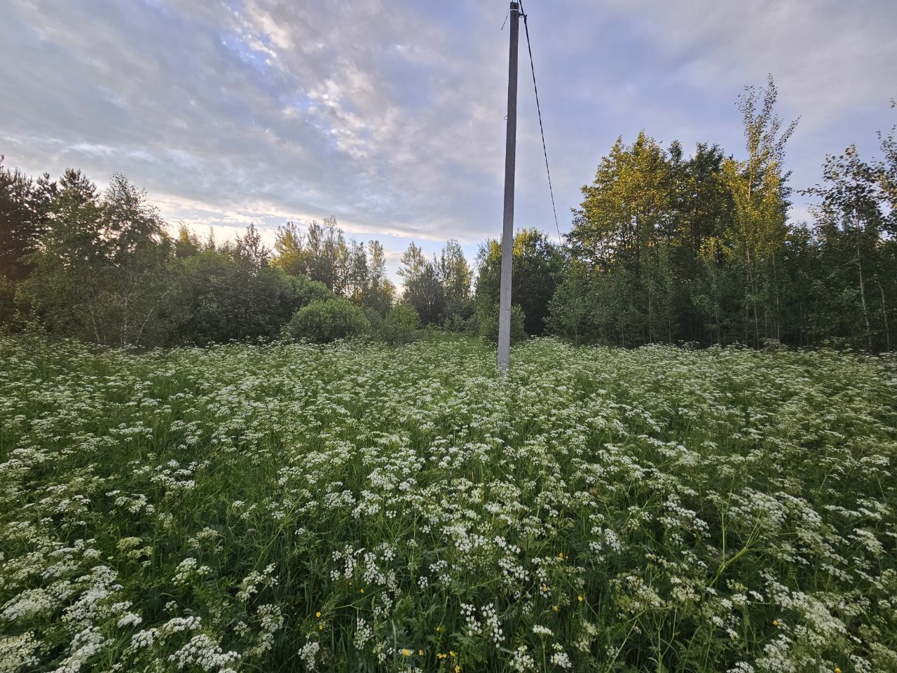 Земли поселения Московская область, Богородский городской округ, деревня Карабаново