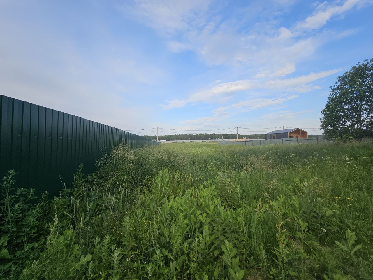 Земли поселения Московская область, Богородский городской округ, деревня Горки