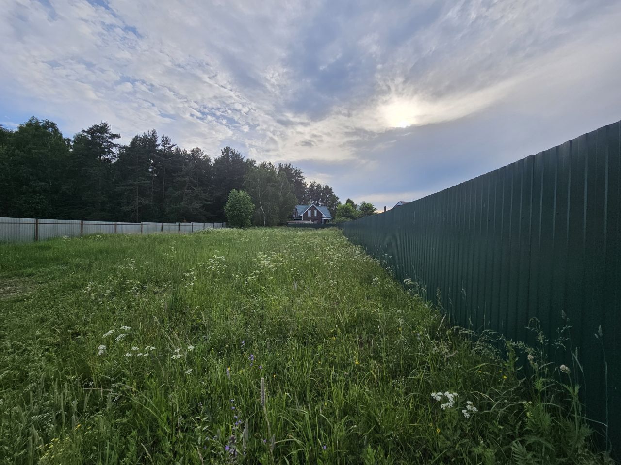 Земли поселения Московская область, Богородский городской округ, деревня Горки