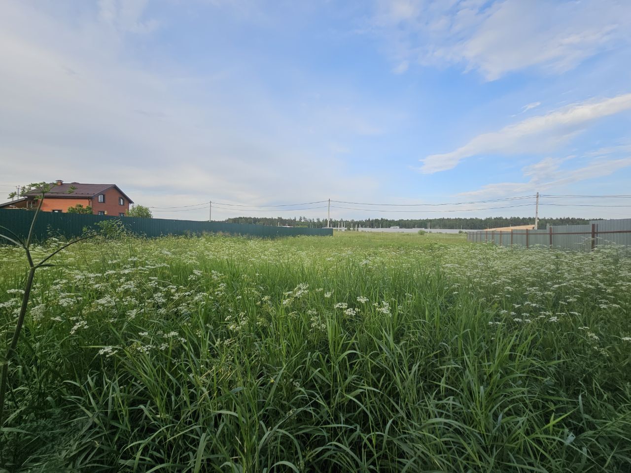 Земли поселения Московская область, Богородский городской округ, деревня Горки