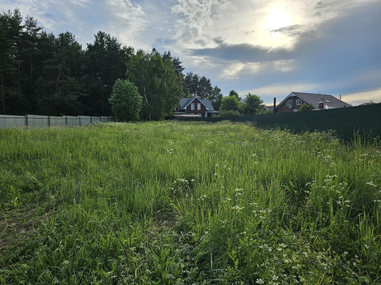 Земли поселения Московская область, Богородский городской округ, деревня Горки