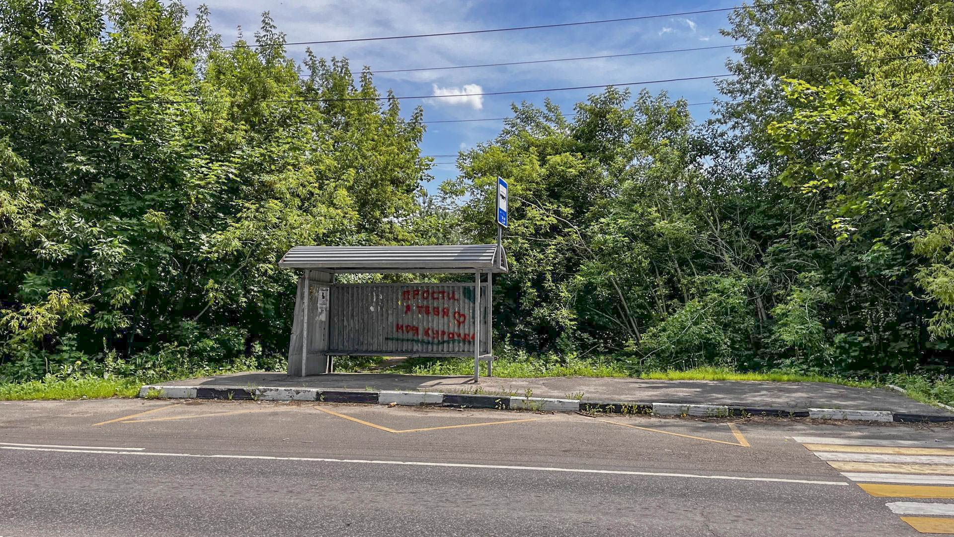 Земли поселения Московская область, Раменский городской округ, ДНТ Лазурный