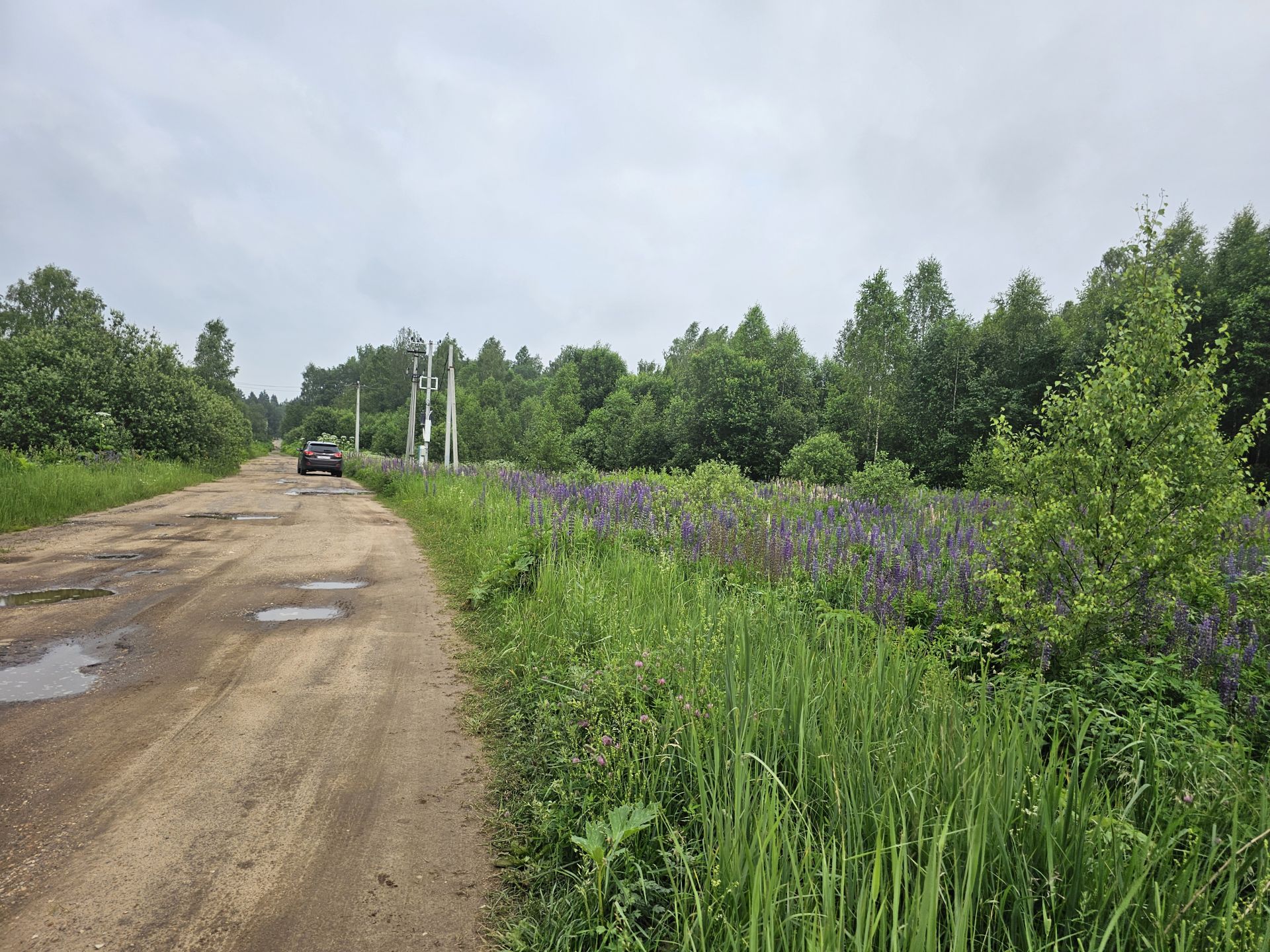 Земли поселения Московская область, Рузский городской округ, посёлок Беляная Гора