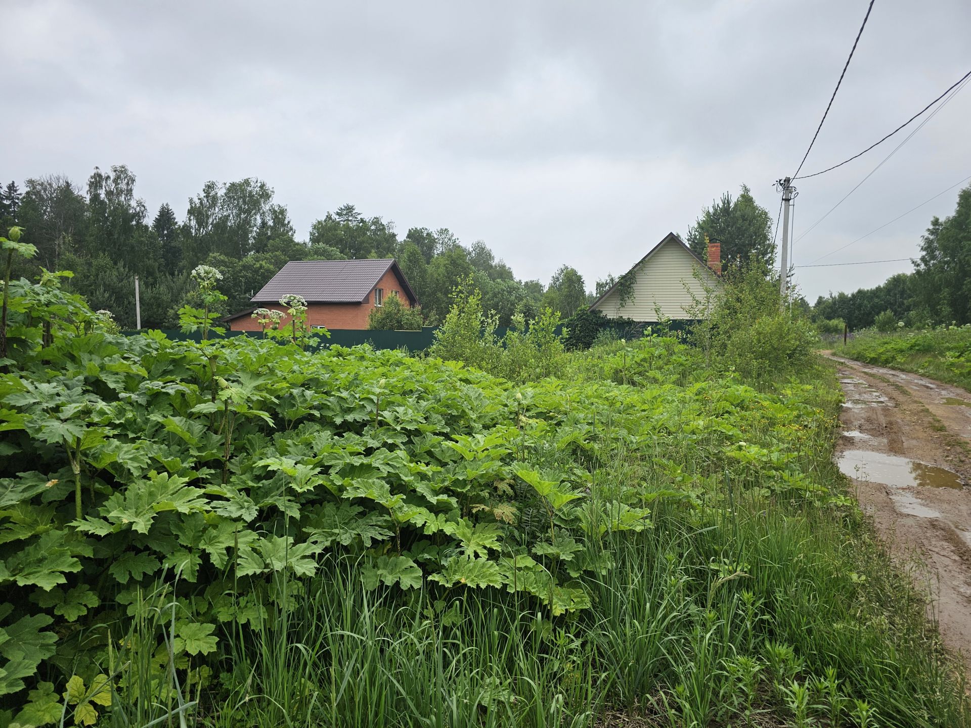 Земли поселения Московская область, Рузский городской округ, посёлок Беляная Гора