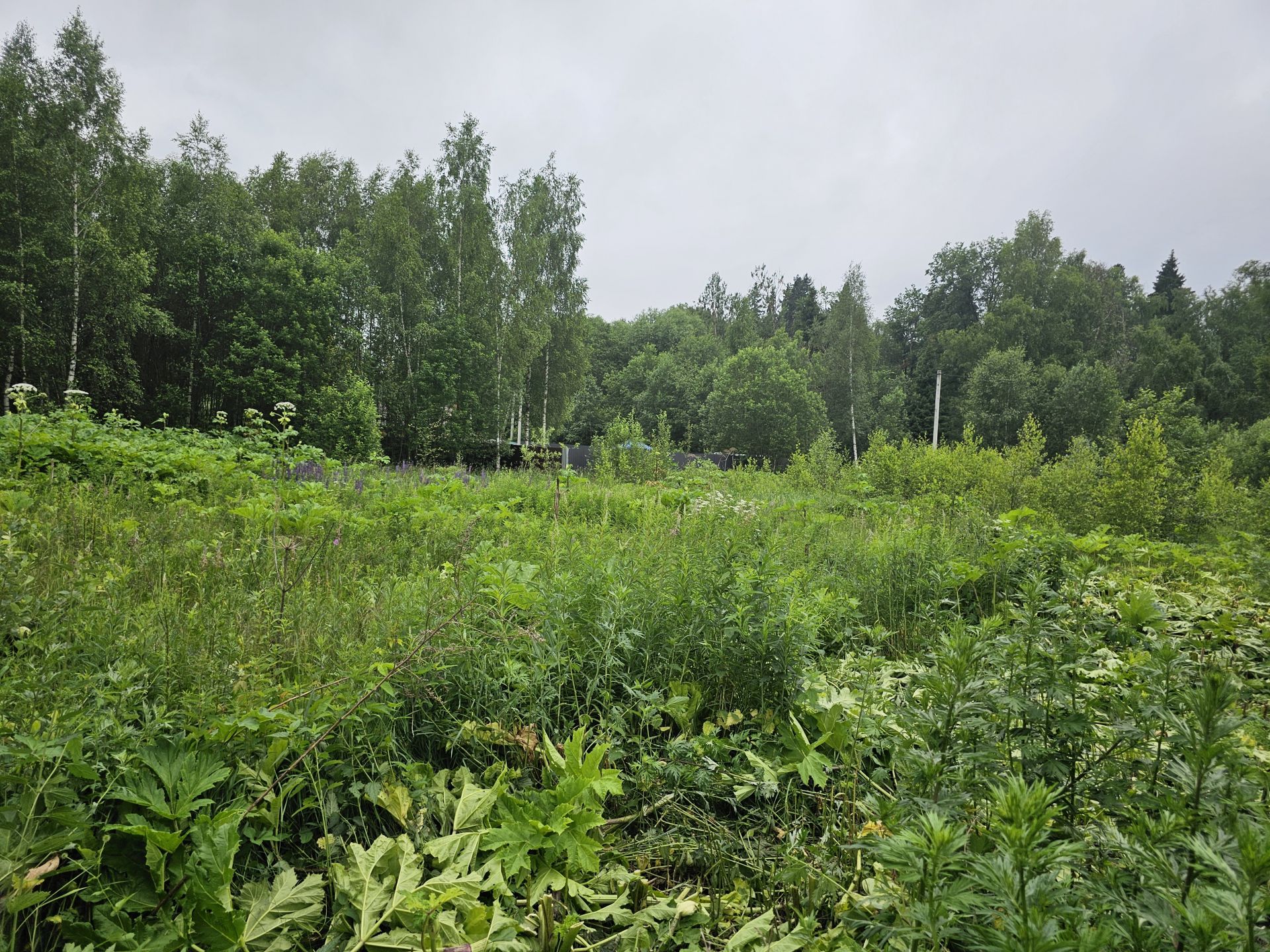 Земли поселения Московская область, Рузский городской округ, посёлок Беляная Гора