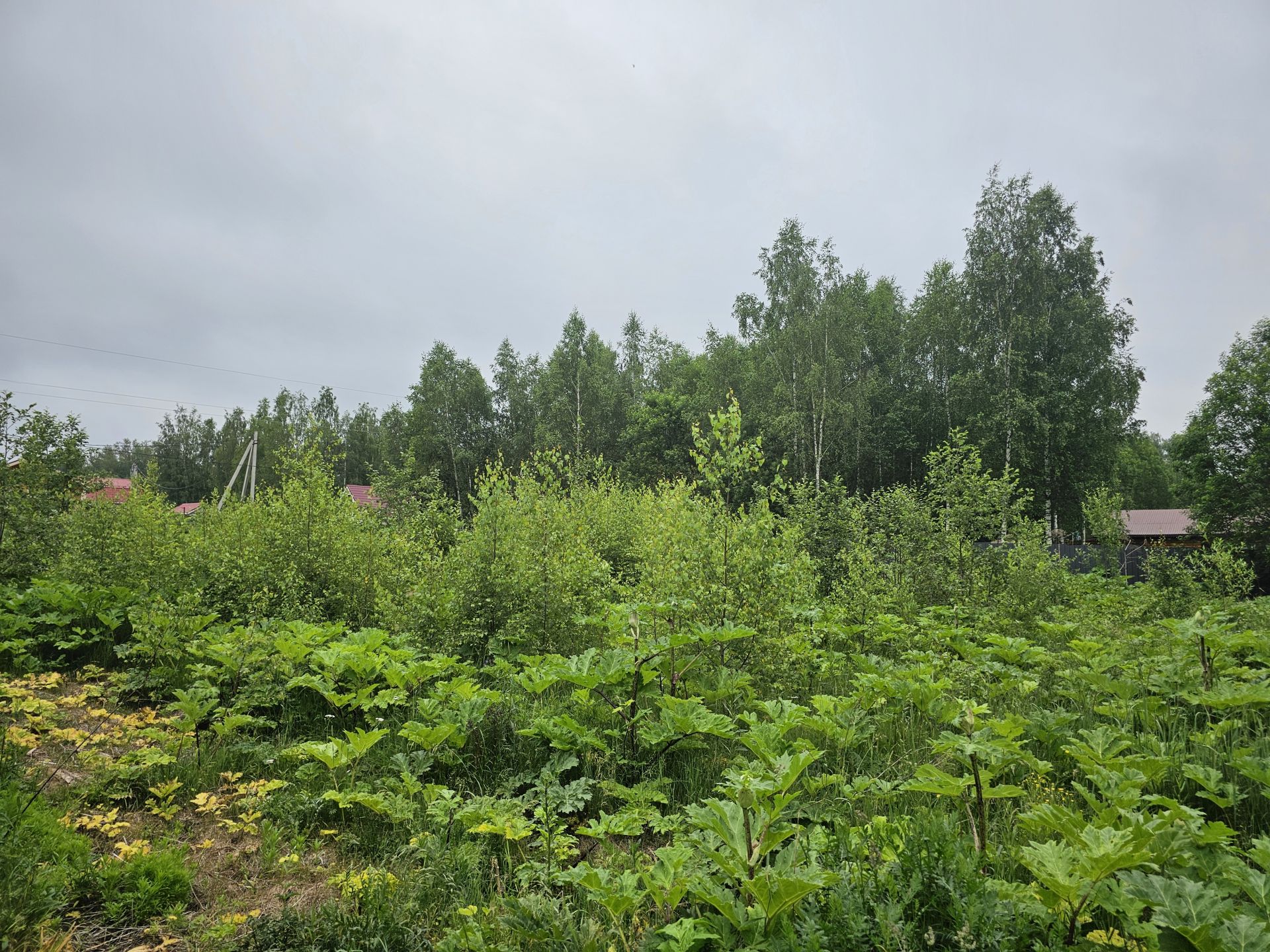 Земли поселения Московская область, Рузский городской округ, посёлок Беляная Гора