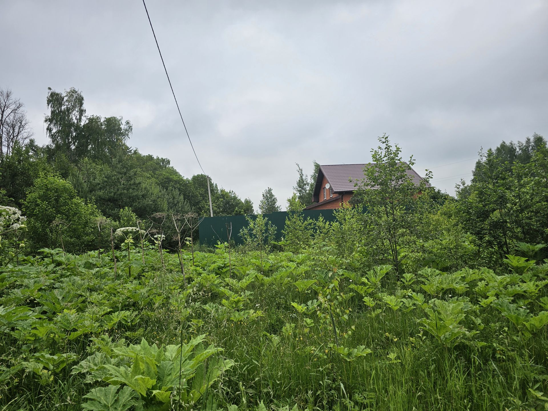 Земли поселения Московская область, Рузский городской округ, посёлок Беляная Гора