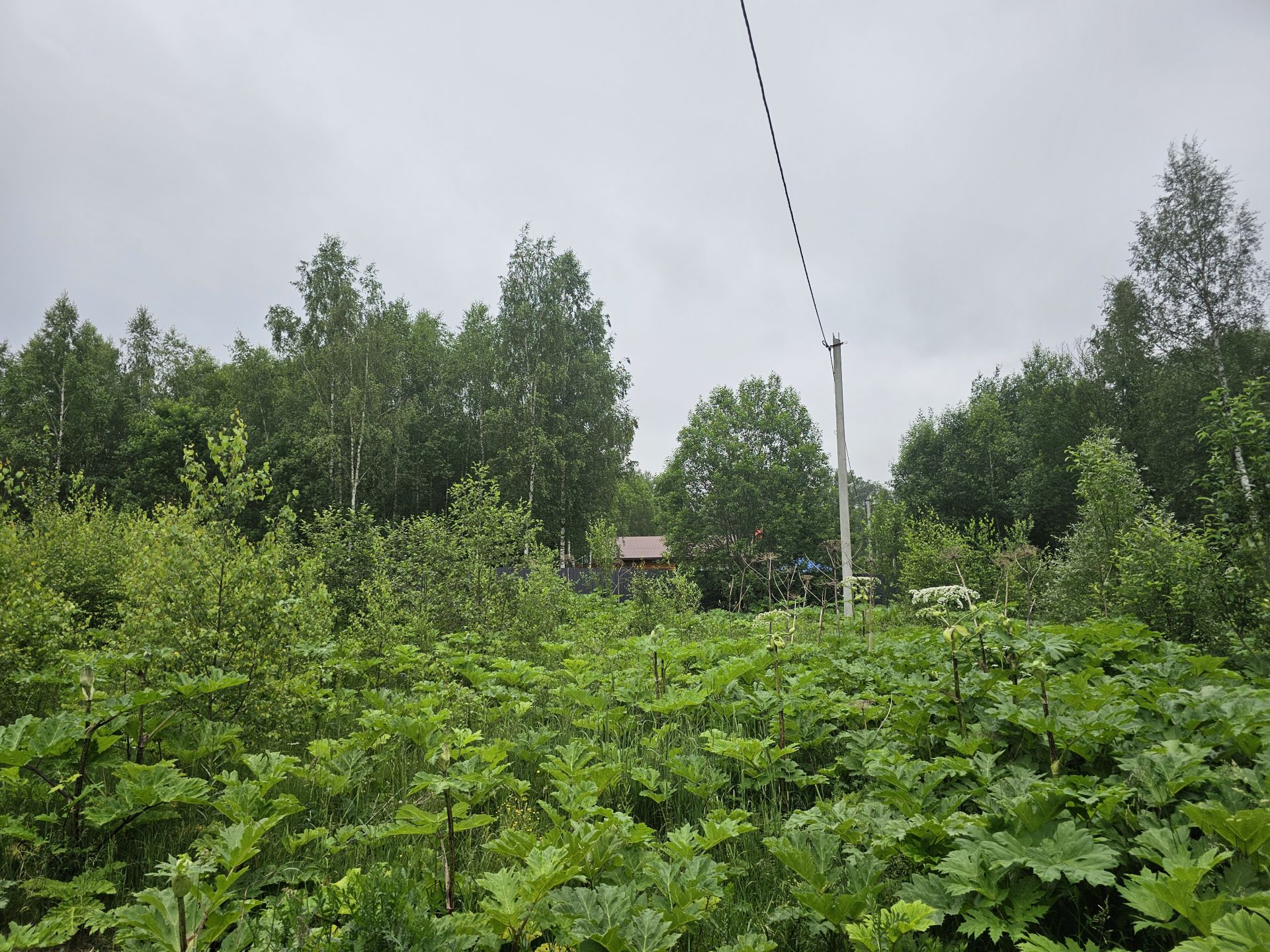 Земли поселения Московская область, Рузский городской округ, посёлок Беляная Гора