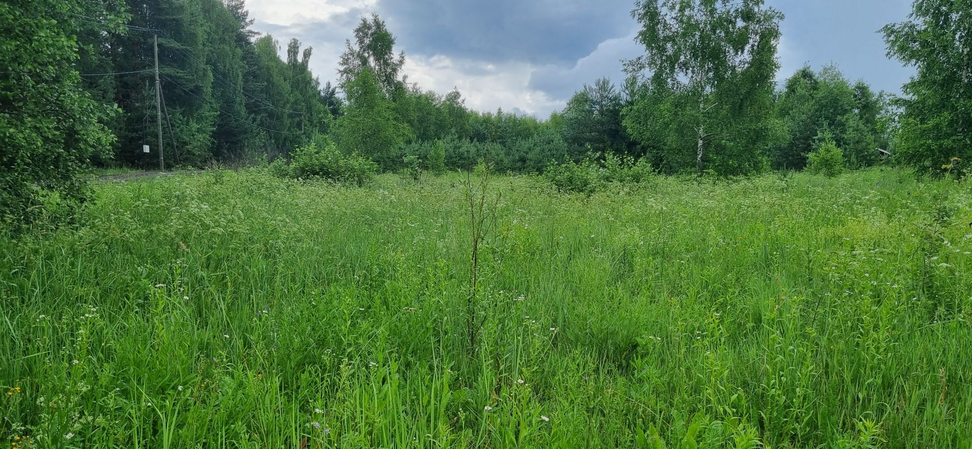 Земли поселения Московская область, Одинцовский городской округ, деревня Новошихово