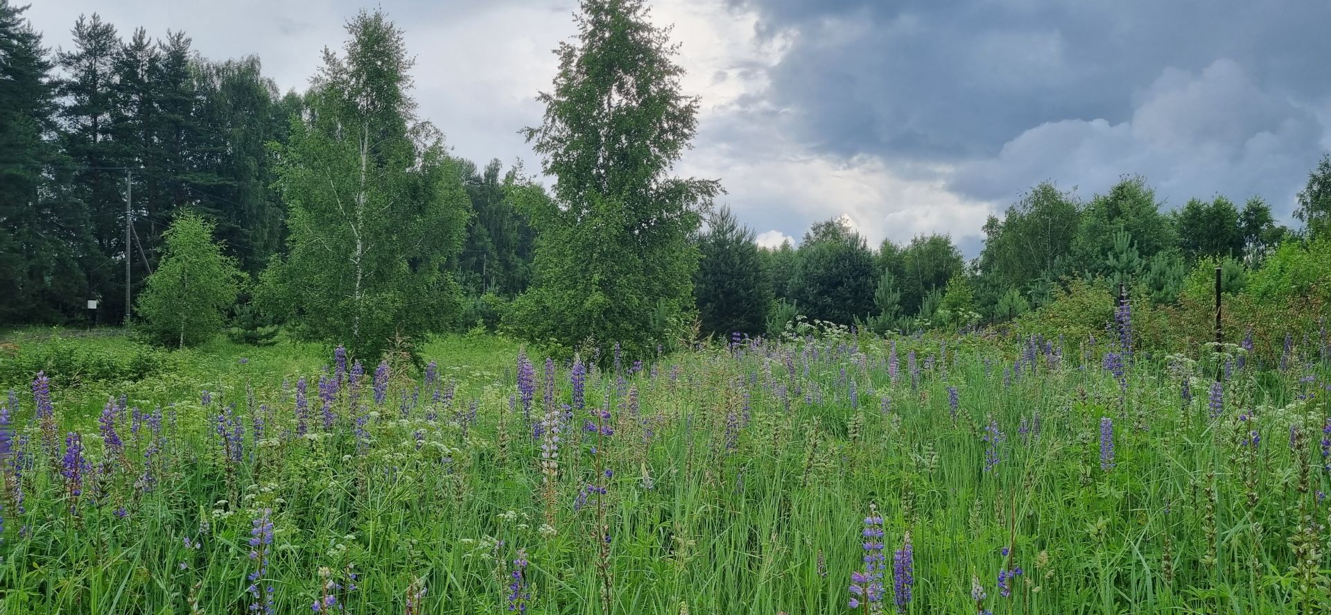 Земли поселения Московская область, Одинцовский городской округ, деревня Новошихово