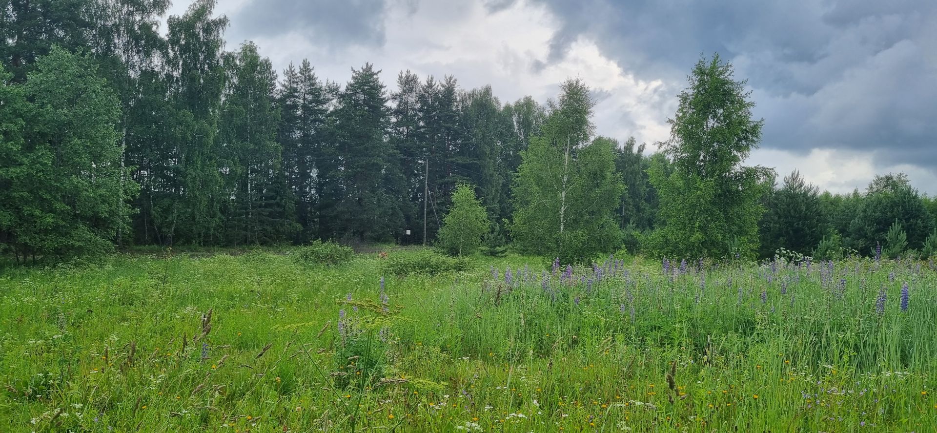 Земли поселения Московская область, Одинцовский городской округ, деревня Новошихово