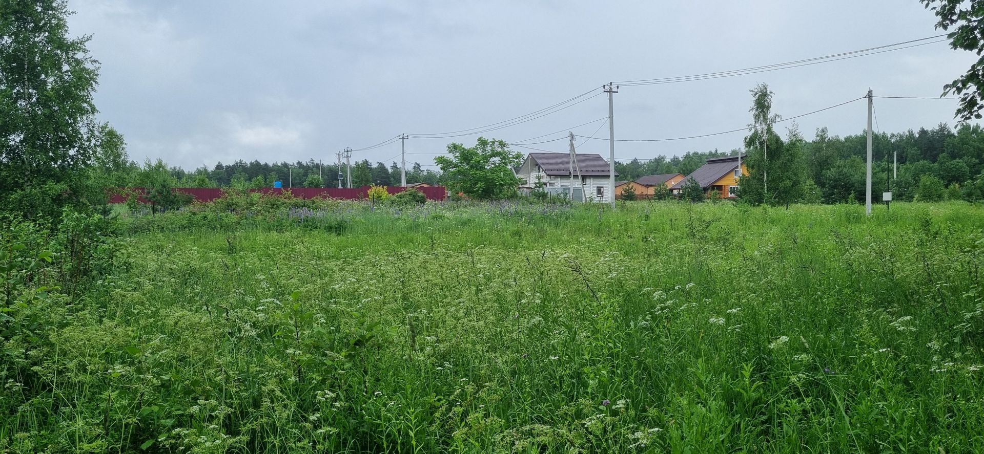 Земли поселения Московская область, Одинцовский городской округ, деревня Новошихово