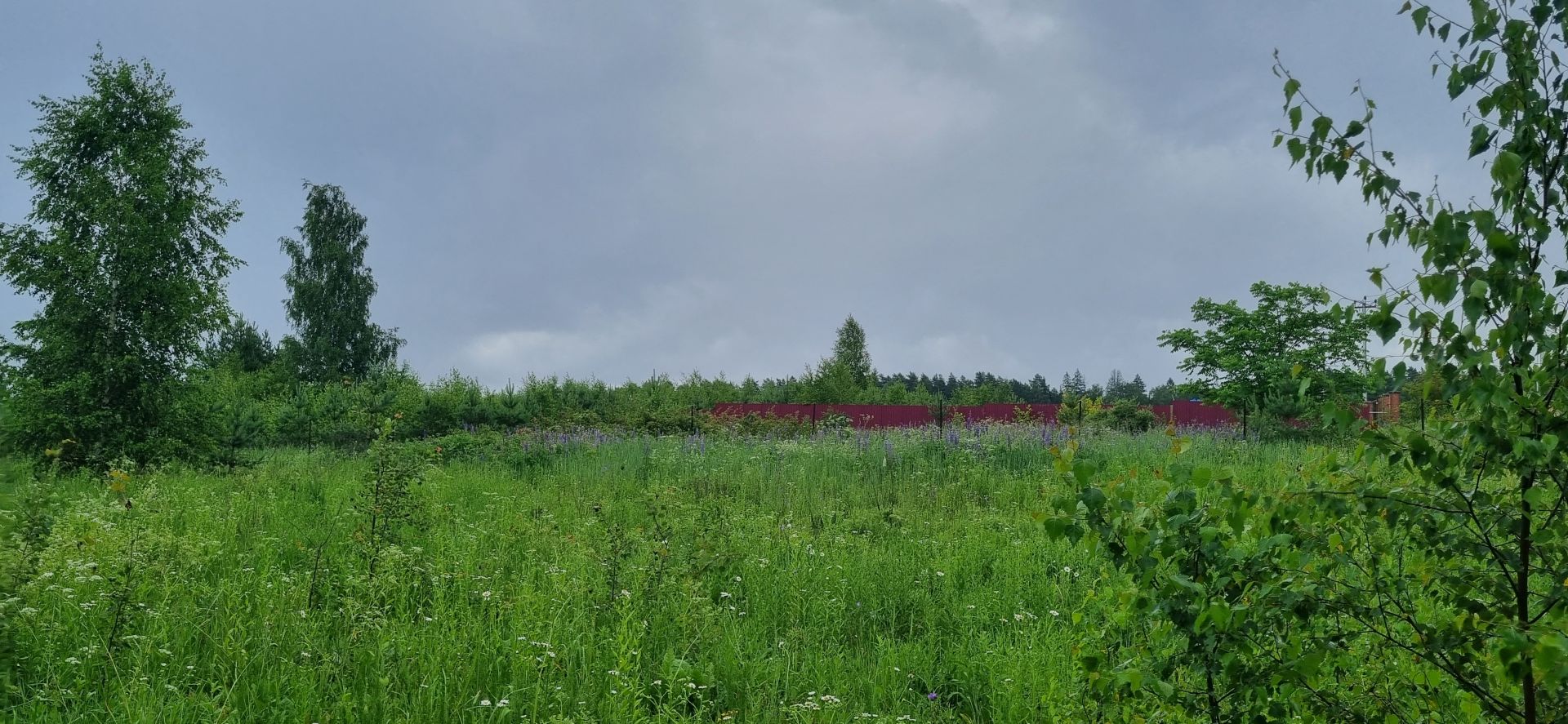 Земли поселения Московская область, Одинцовский городской округ, деревня Новошихово