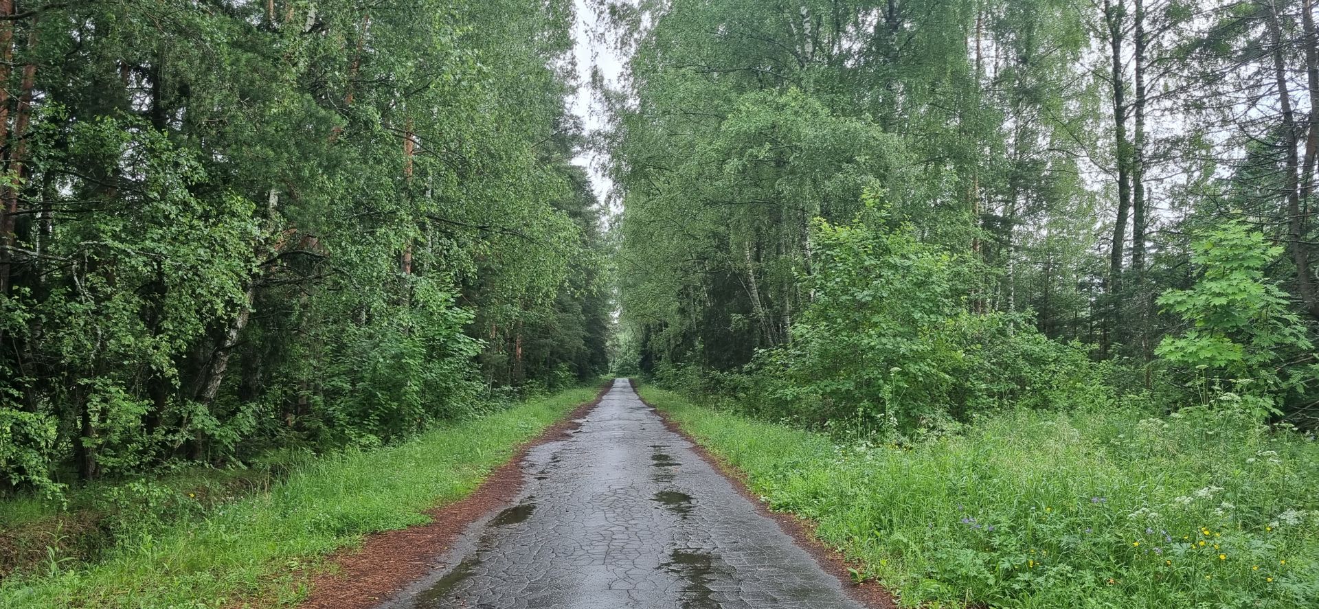 Земли поселения Московская область, Одинцовский городской округ, деревня Новошихово