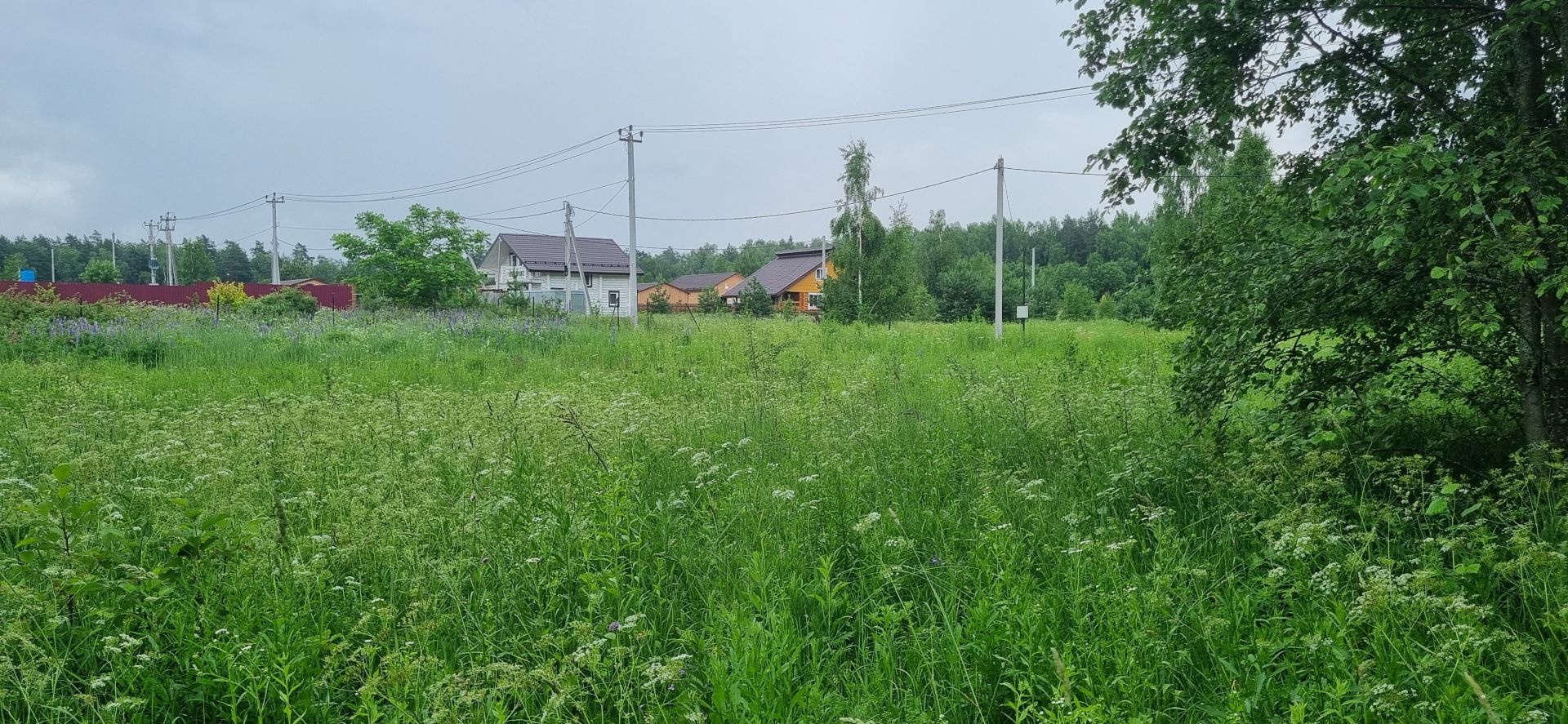 Земли поселения Московская область, Одинцовский городской округ, деревня Новошихово