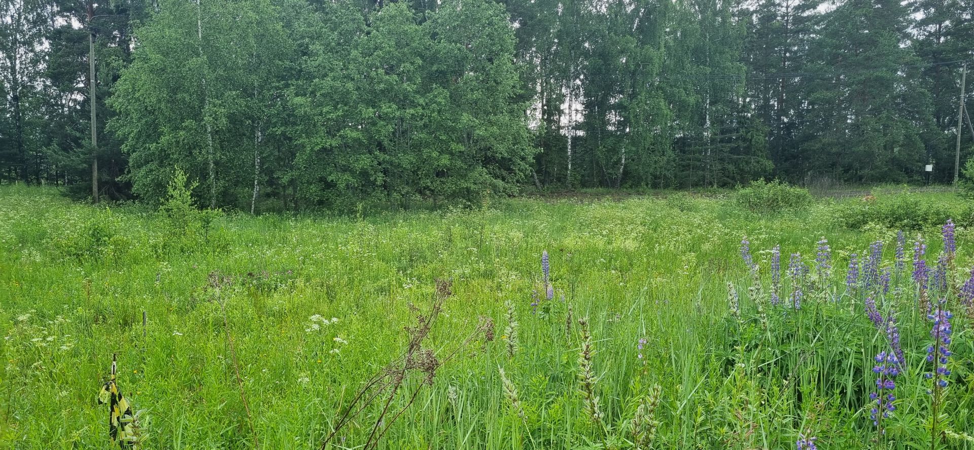 Земли поселения Московская область, Одинцовский городской округ, деревня Новошихово