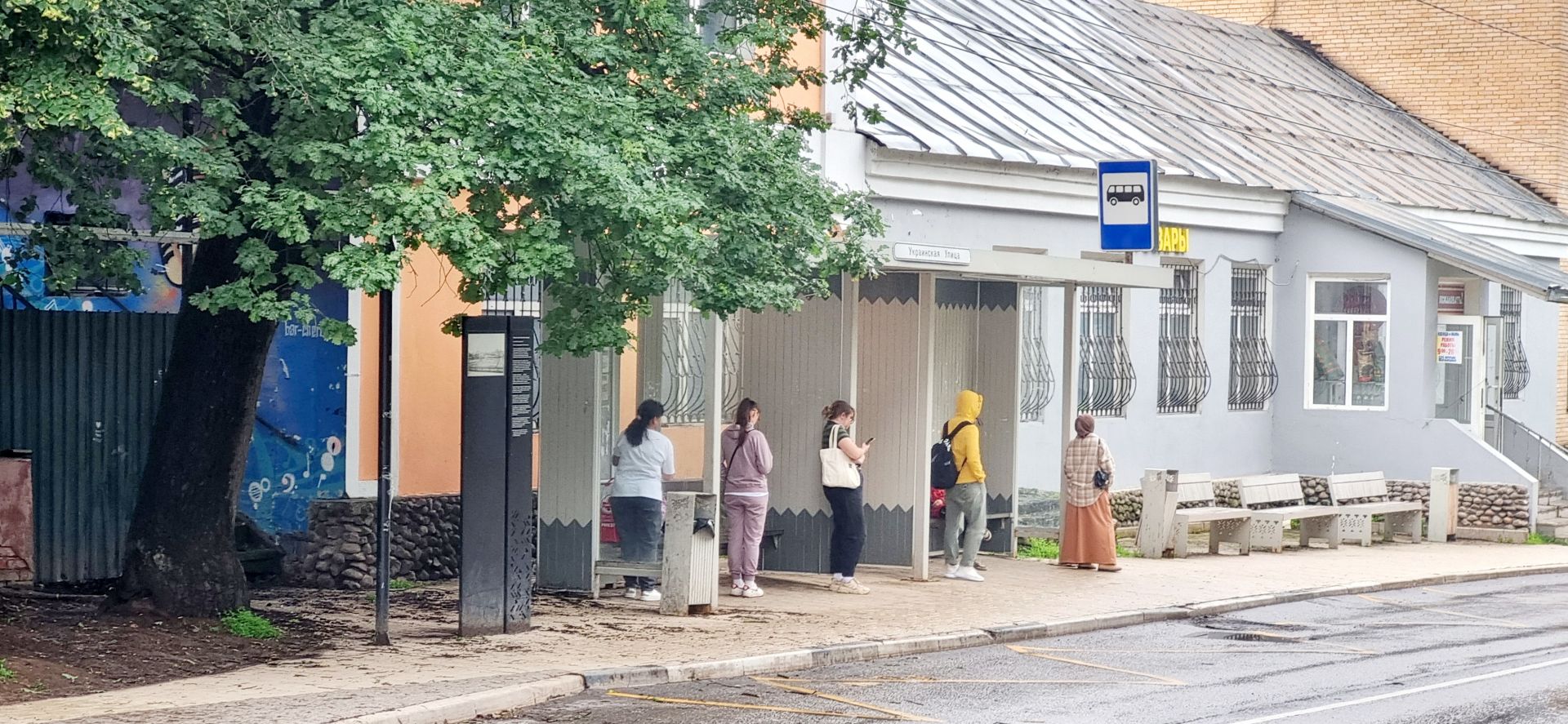 Земли поселения Московская область, Одинцовский городской округ, Звенигород, улица Ивана Шнырева