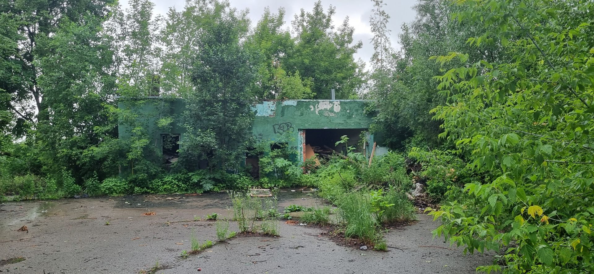 Земли поселения Московская область, Одинцовский городской округ, Звенигород, улица Ивана Шнырева