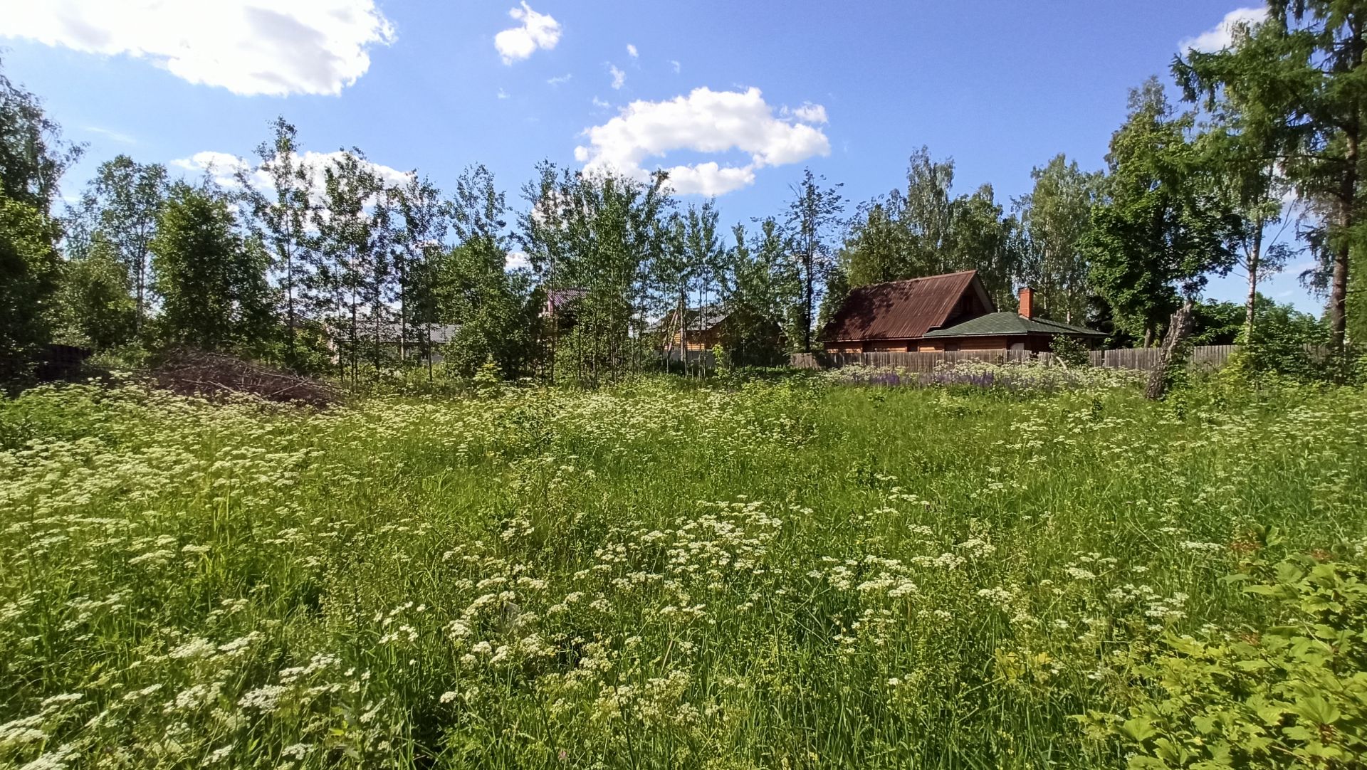 Земли поселения Московская область, городской округ Пушкинский, деревня Кстинино