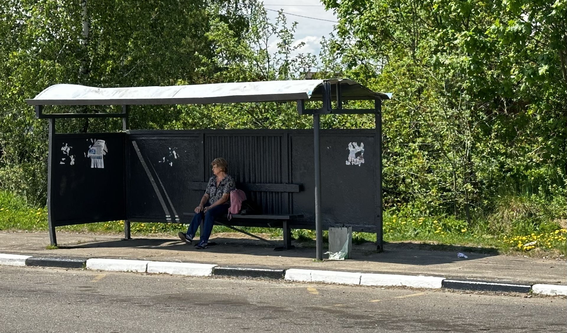 Земли поселения Московская область, городской округ Истра, деревня Шишаиха