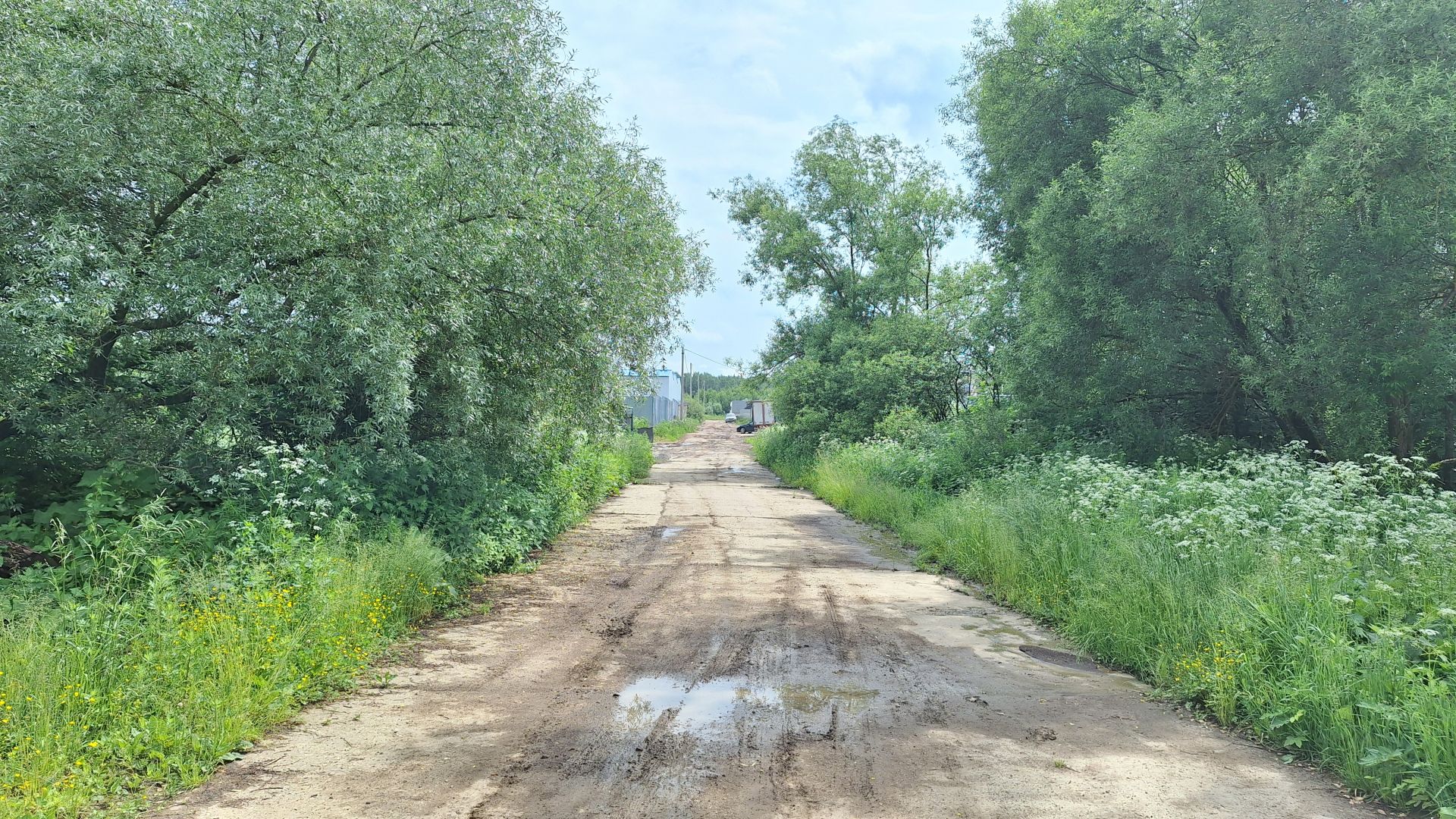 Земли поселения Московская область, городской округ Чехов, село Дубна