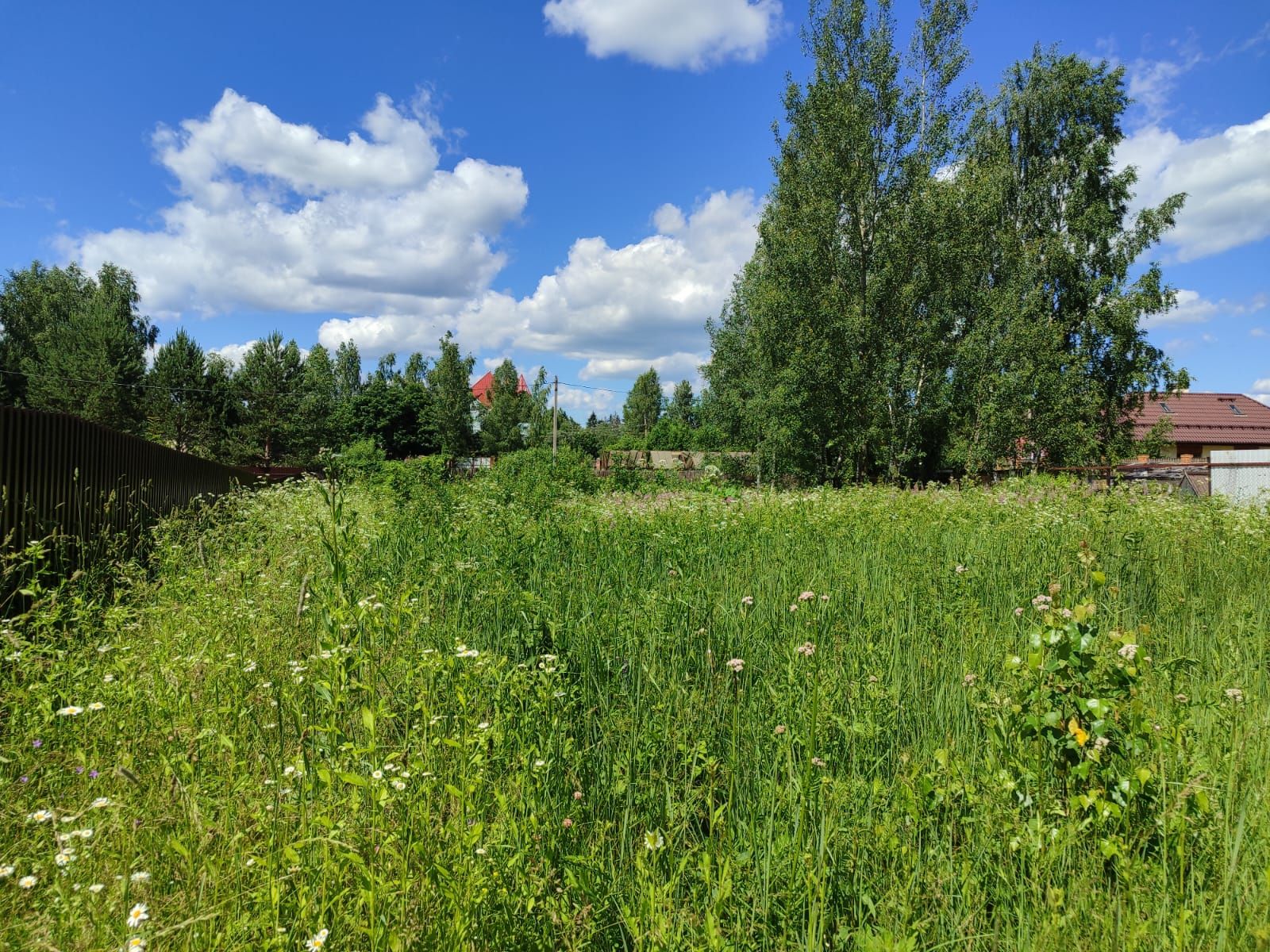 Земли поселения Московская область, Рузский городской округ, деревня Копцево