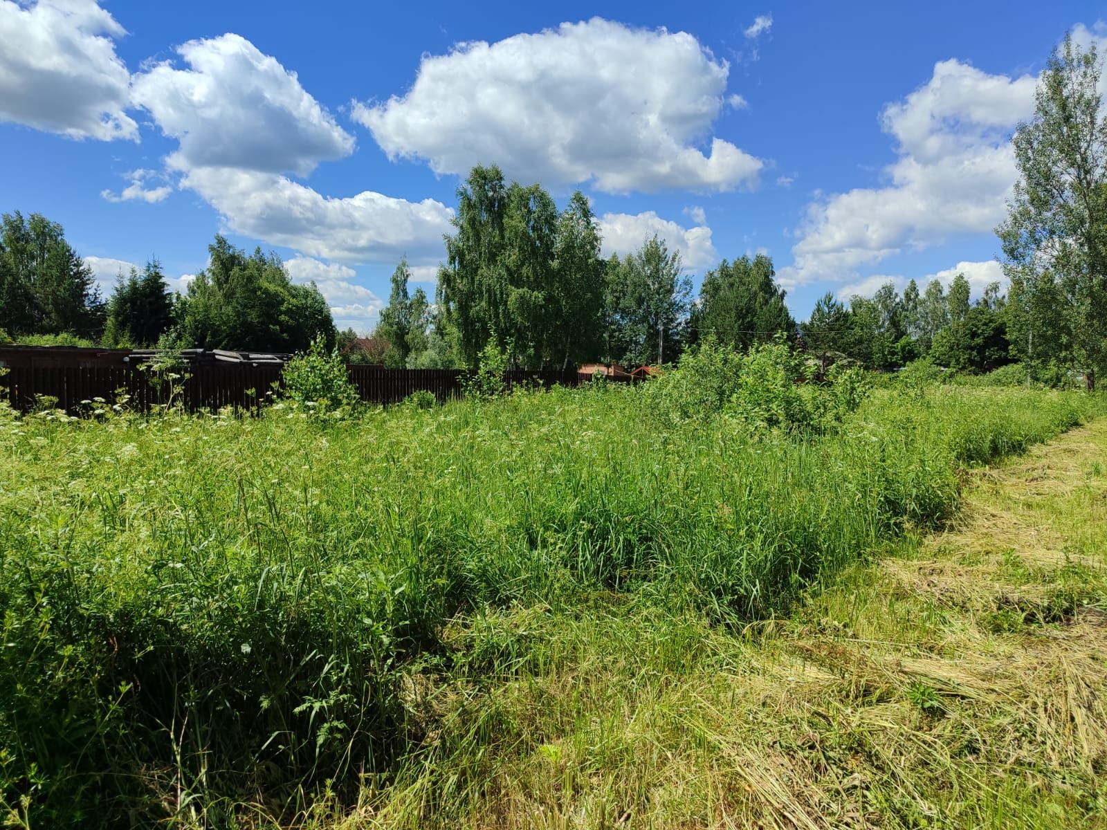 Земли поселения Московская область, Рузский городской округ, деревня Копцево