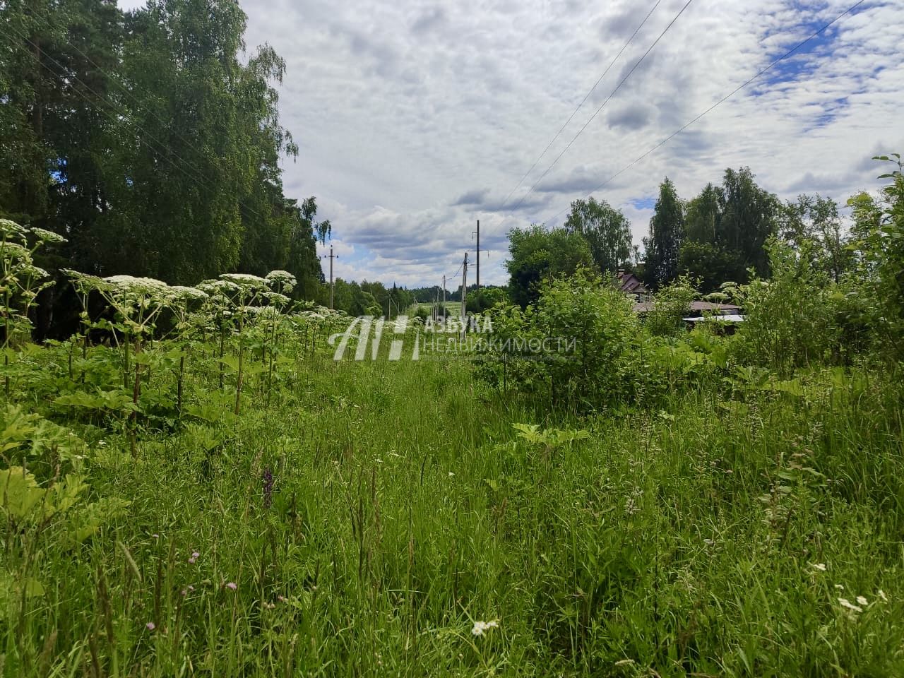 Земли поселения Московская область, Рузский городской округ, посёлок дома отдыха Лужки